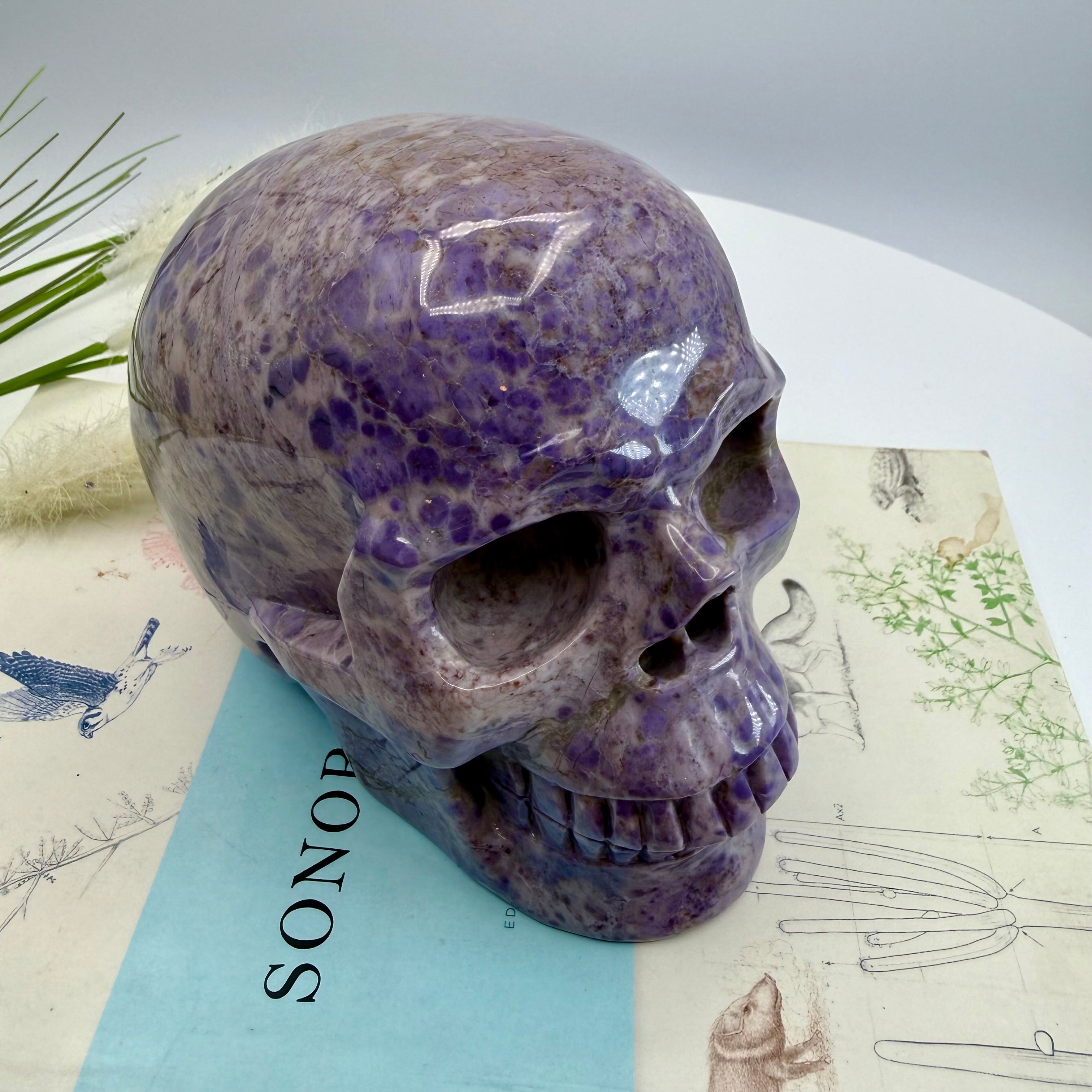 Turkiyenite Skull 5inch (Very Rare Turkish Lavender Jade) [SQ888]