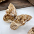 Chocolate Calcite Butterfly