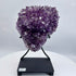 Amethyst Cluster with Gold Rutile Goethite