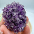 Uruguayan Amethyst Flower