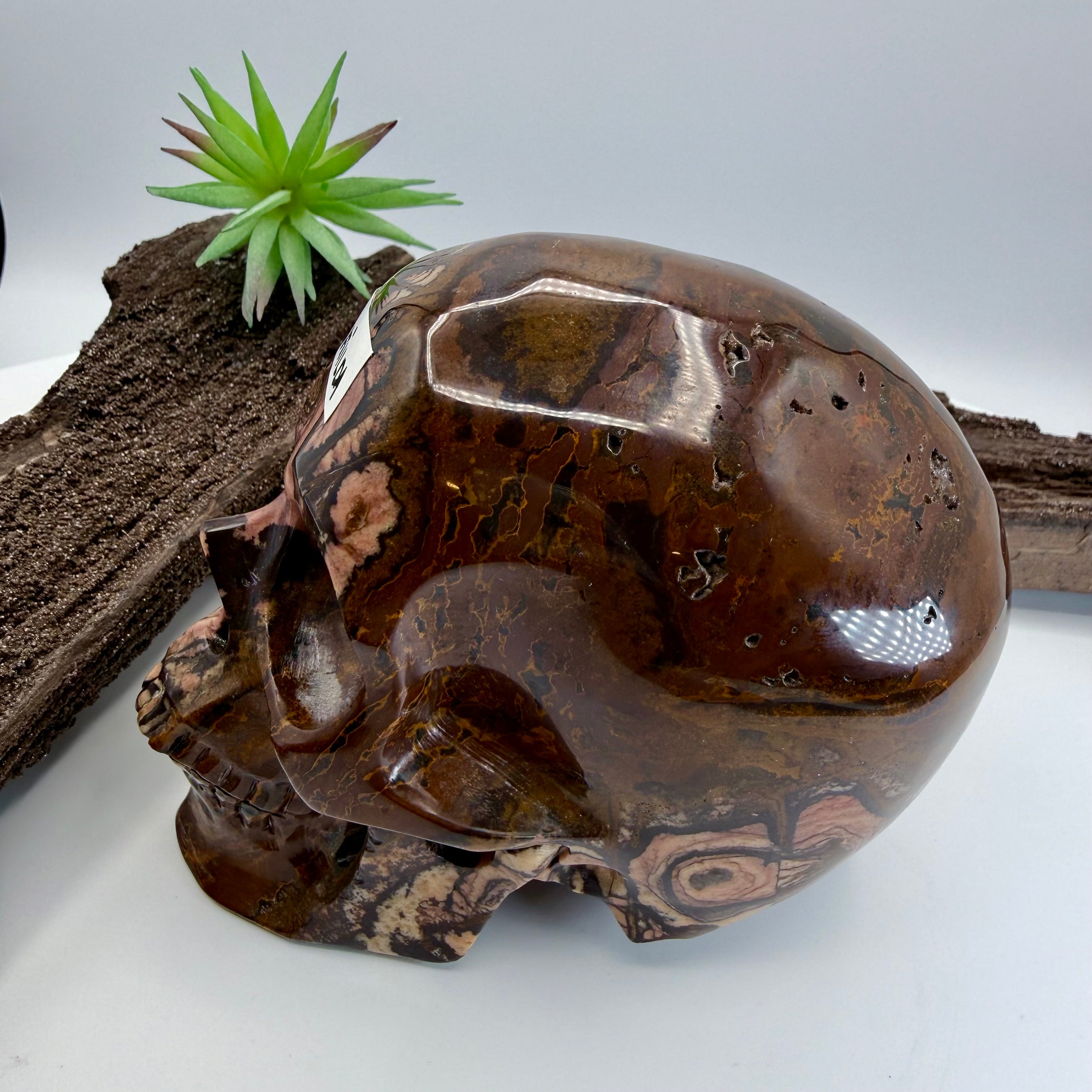Matilda Australian Outback Jasper 5inch Skull [KJ189]
