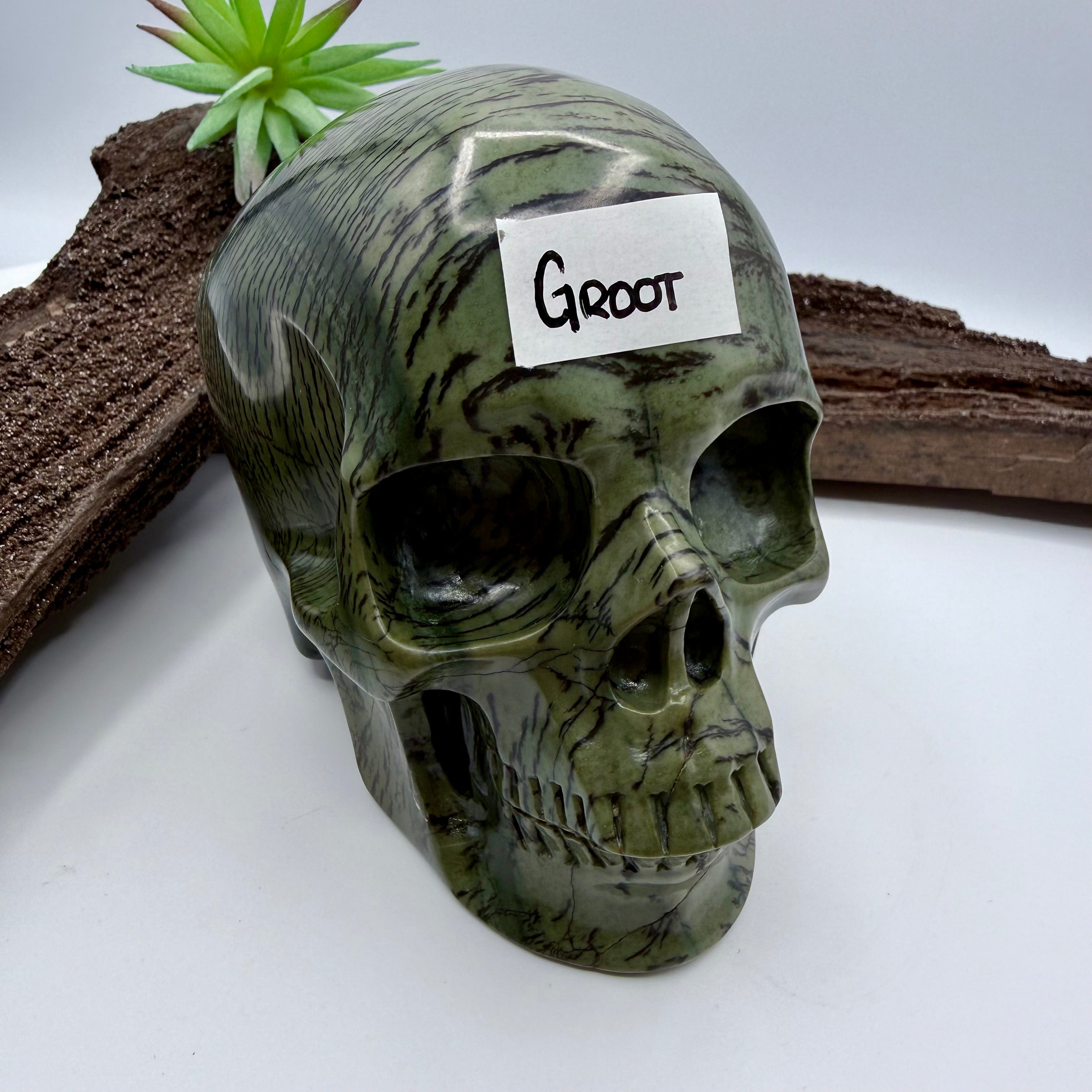 Groot Dentritic Australian Green Opal Skull 5inch  [KE175]