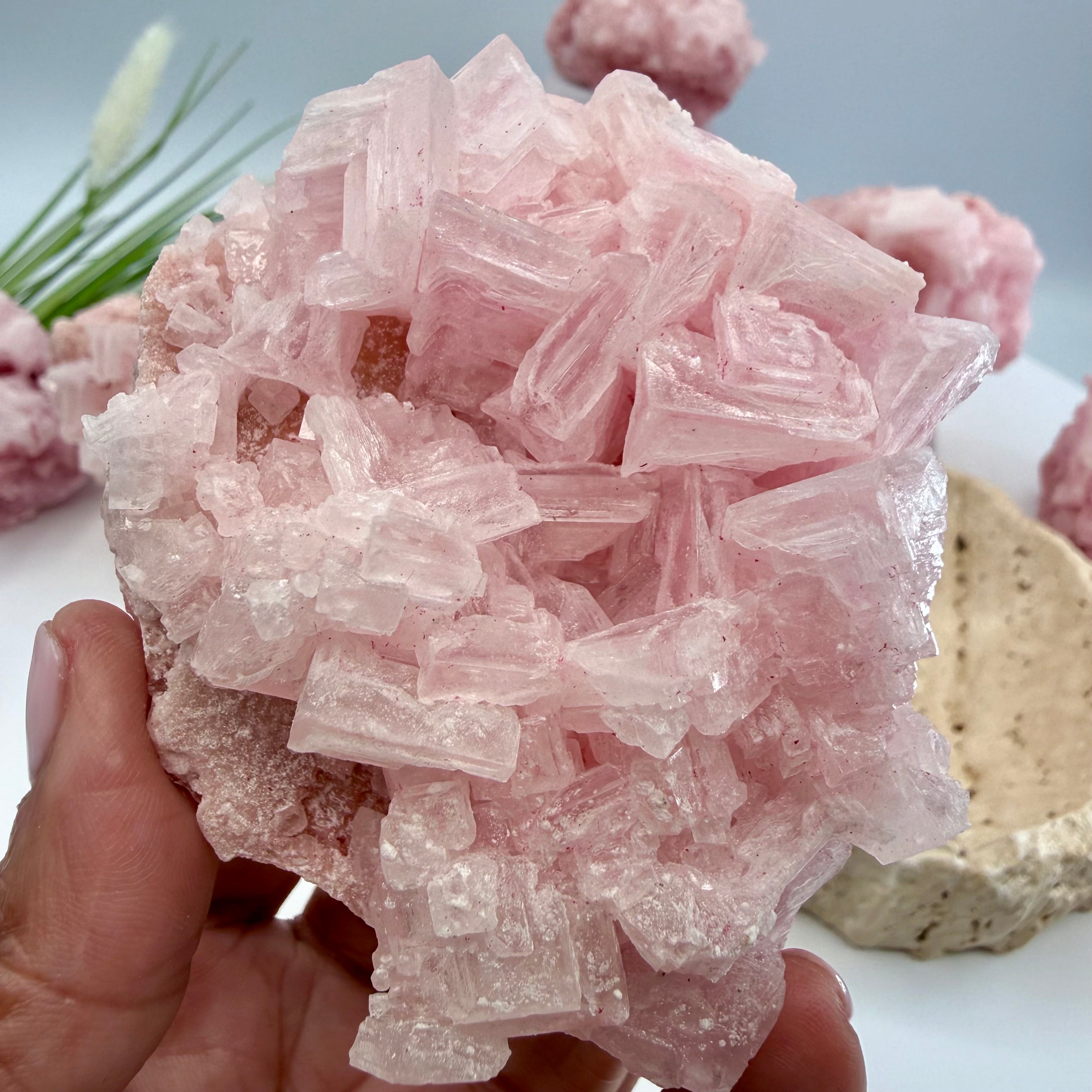Pink Halite