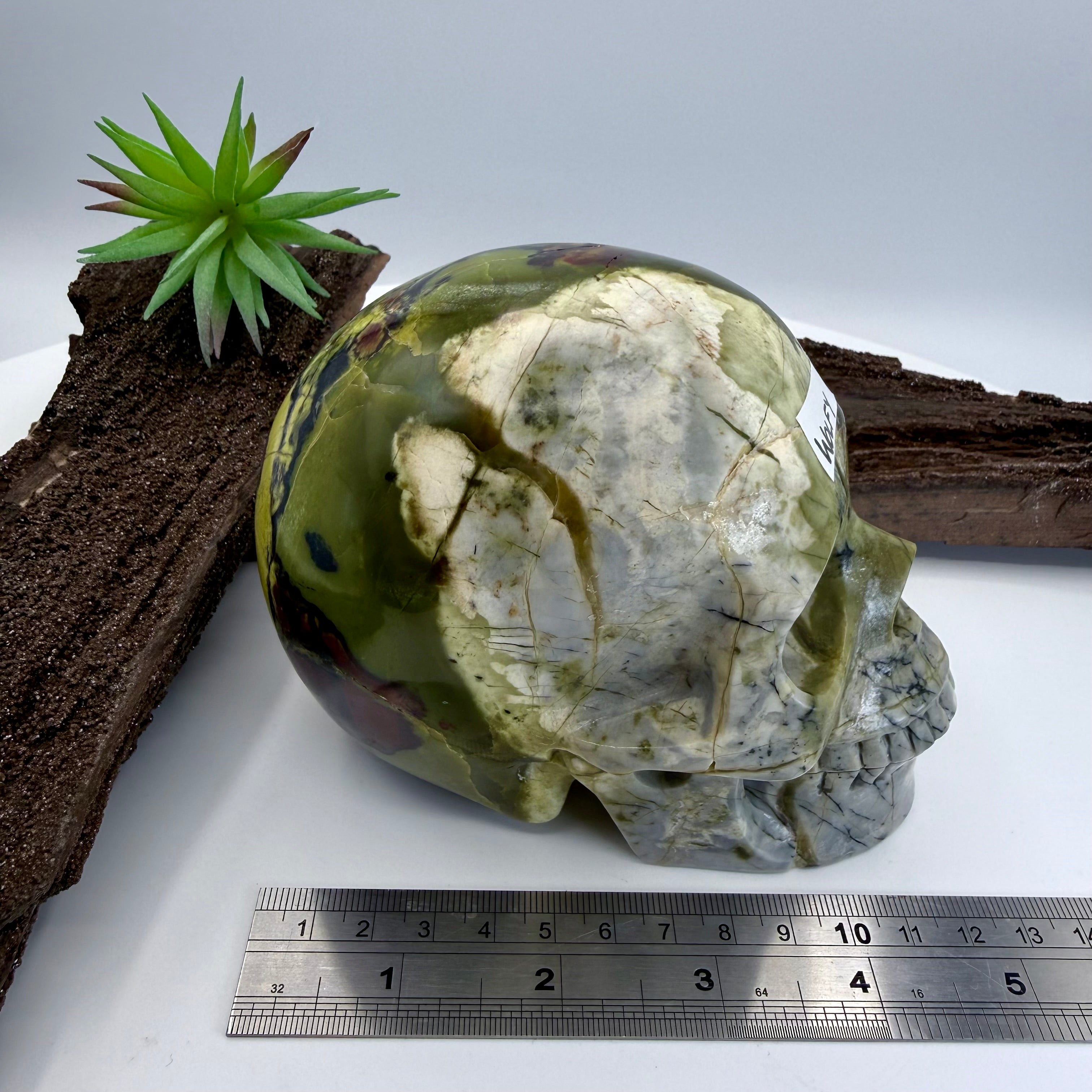 Wolfy Hiso Jasper 5inch Skull [JU249]