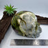 Wolfy Hiso Jasper 5inch Skull [JU249]