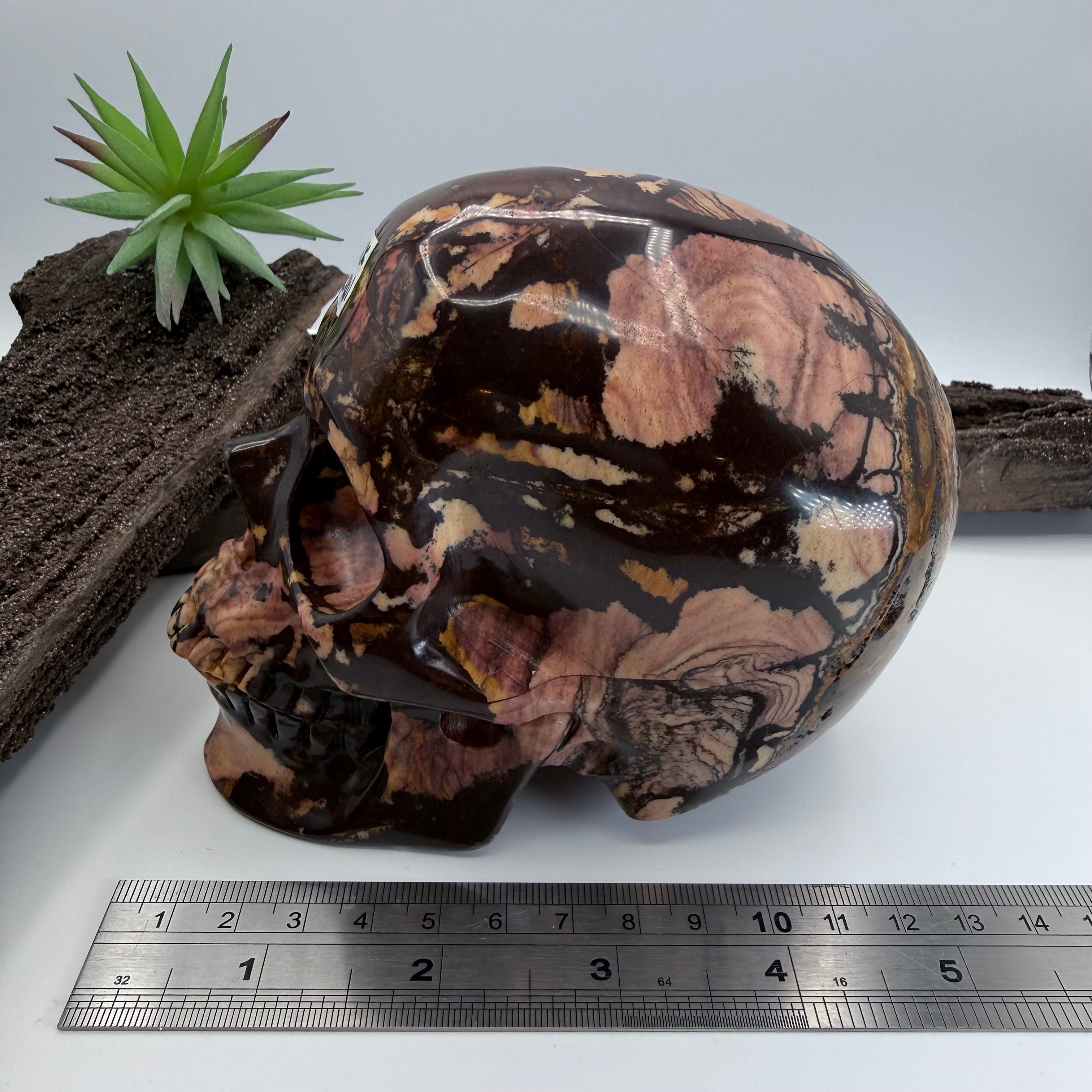 Outback Jackson Australian Outback Jasper Skull 5 inch [OA333]