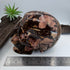 Outback Jackson Australian Outback Jasper Skull 5 inch [OA333]
