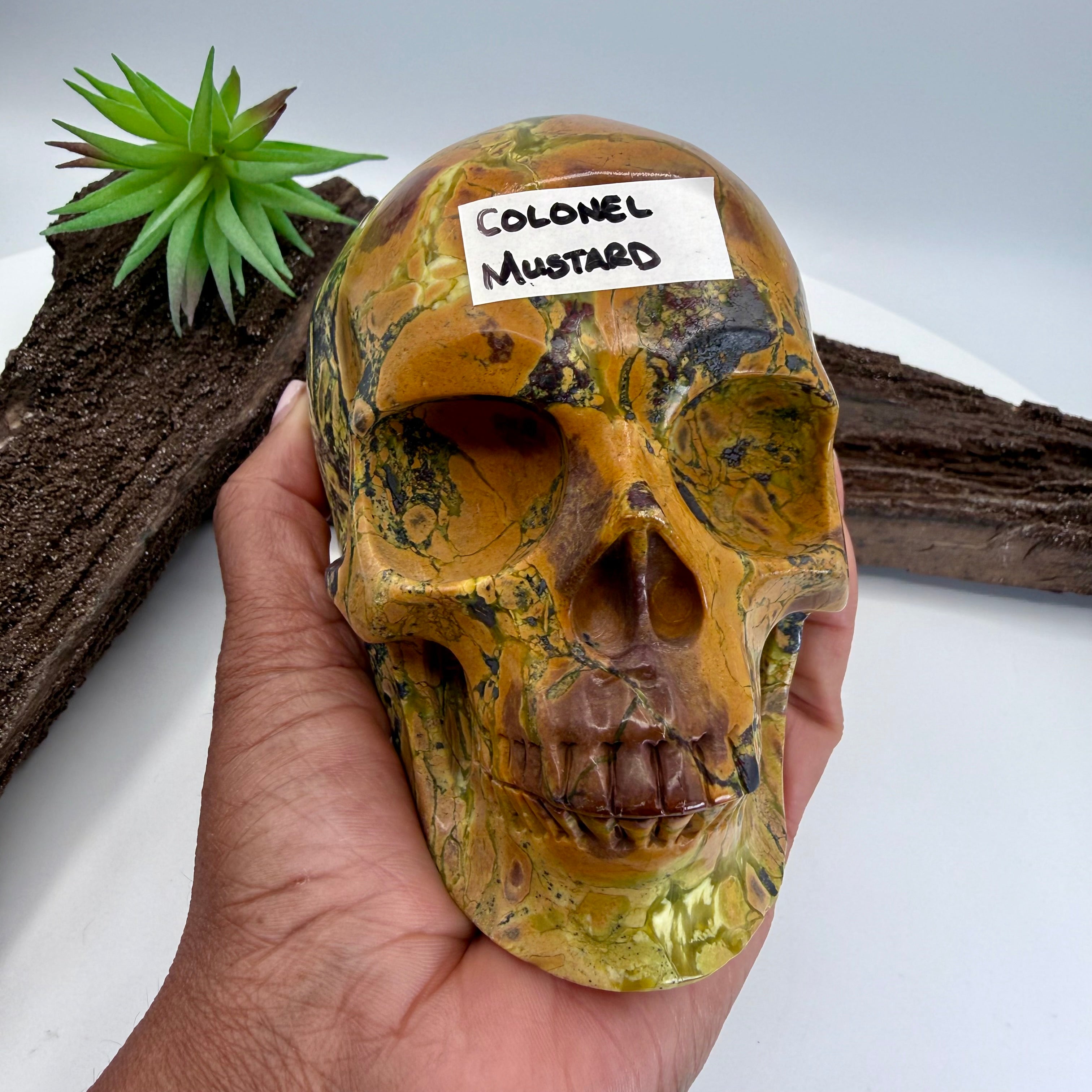 Colonel Mustard Hiso Jasper 5 inch Skull [JU195]