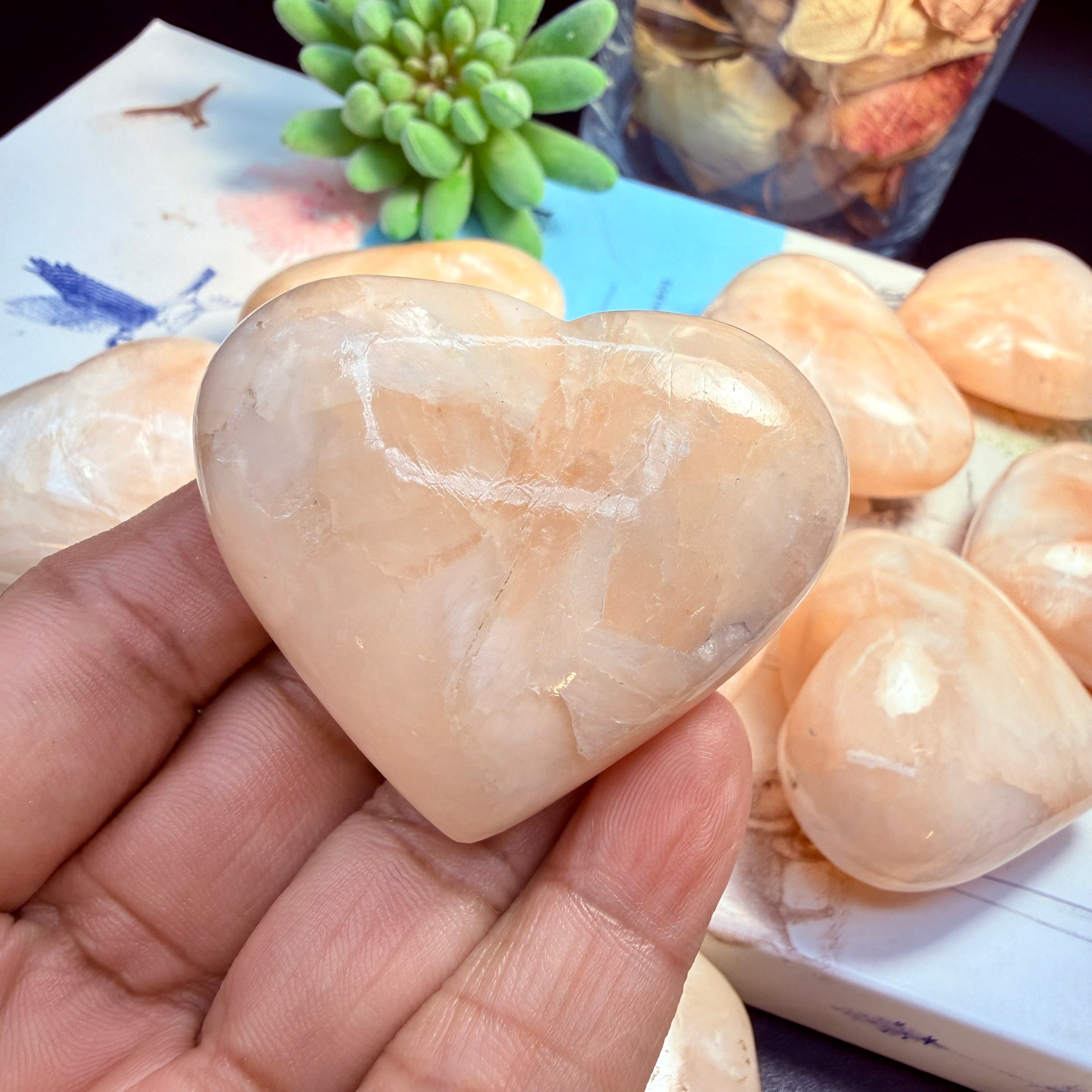 Peach Stillbite Hearts