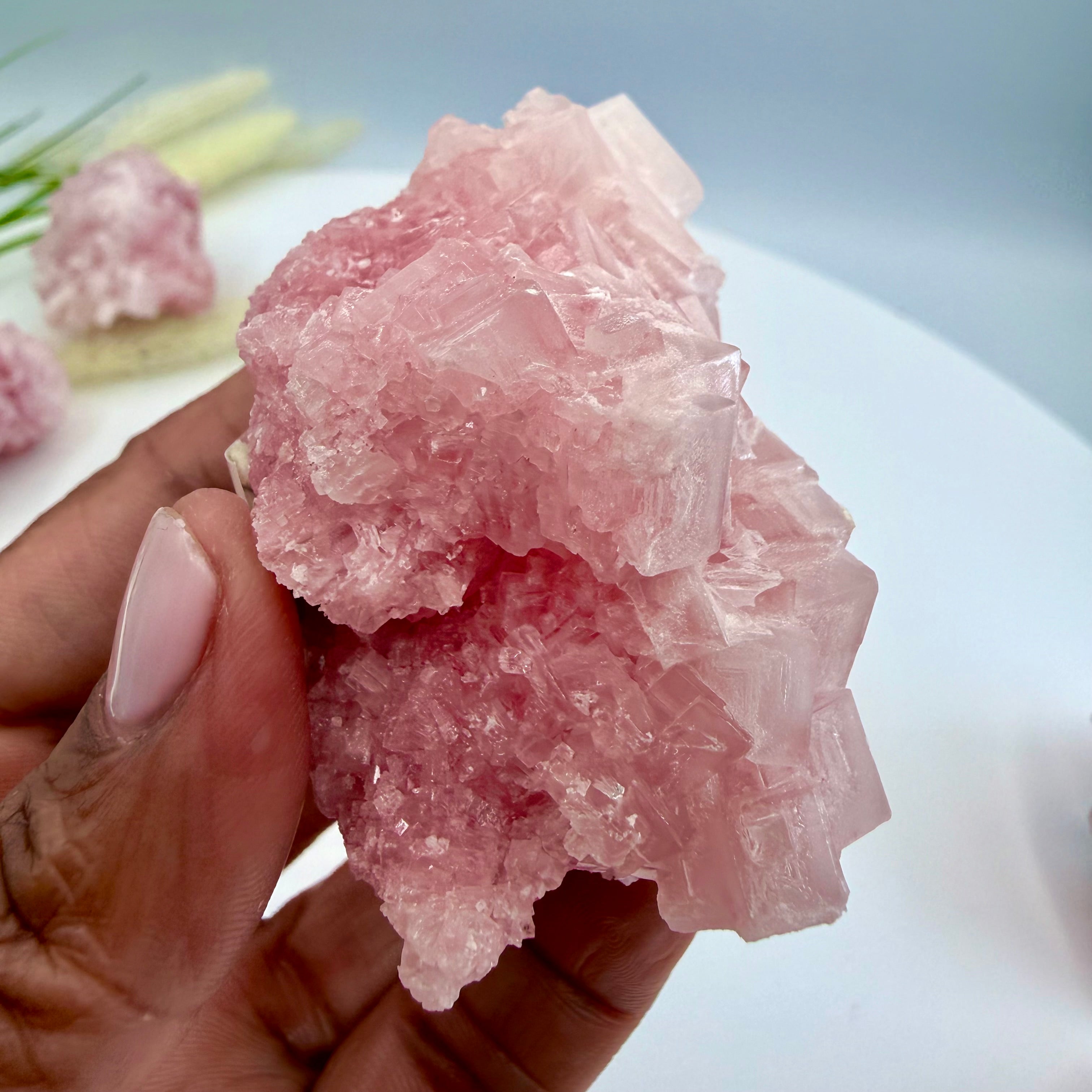 Pink Halite