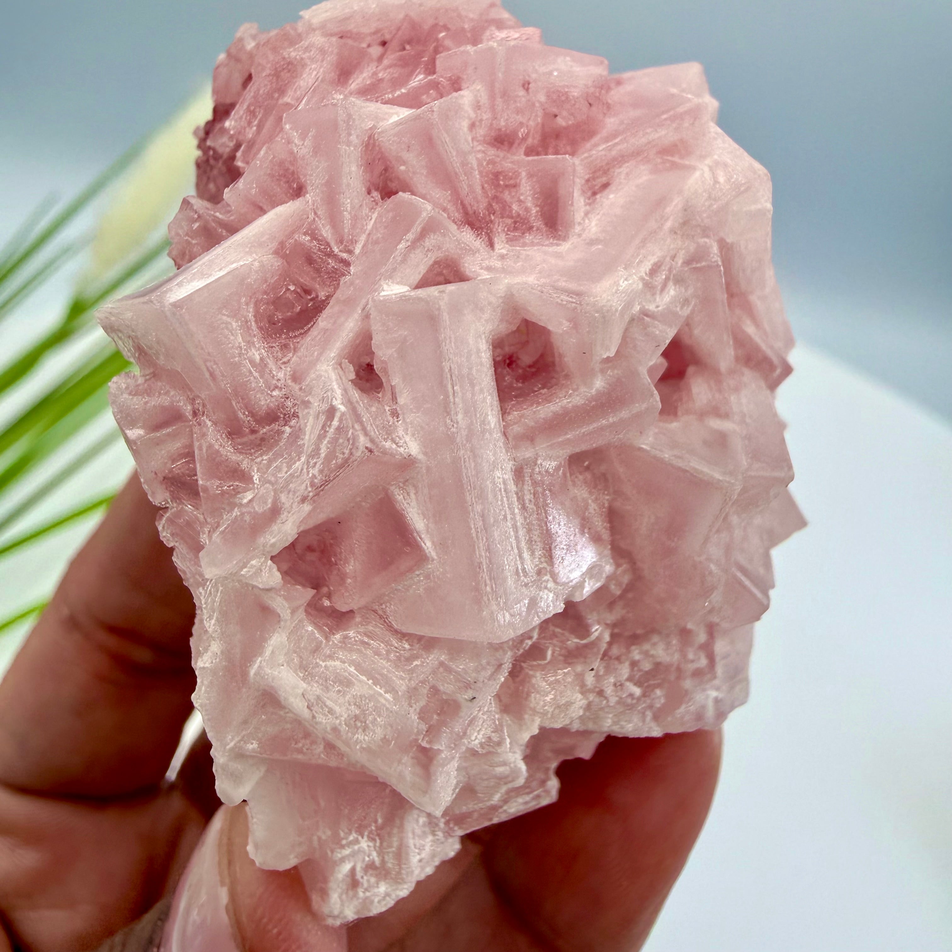 Pink Halite