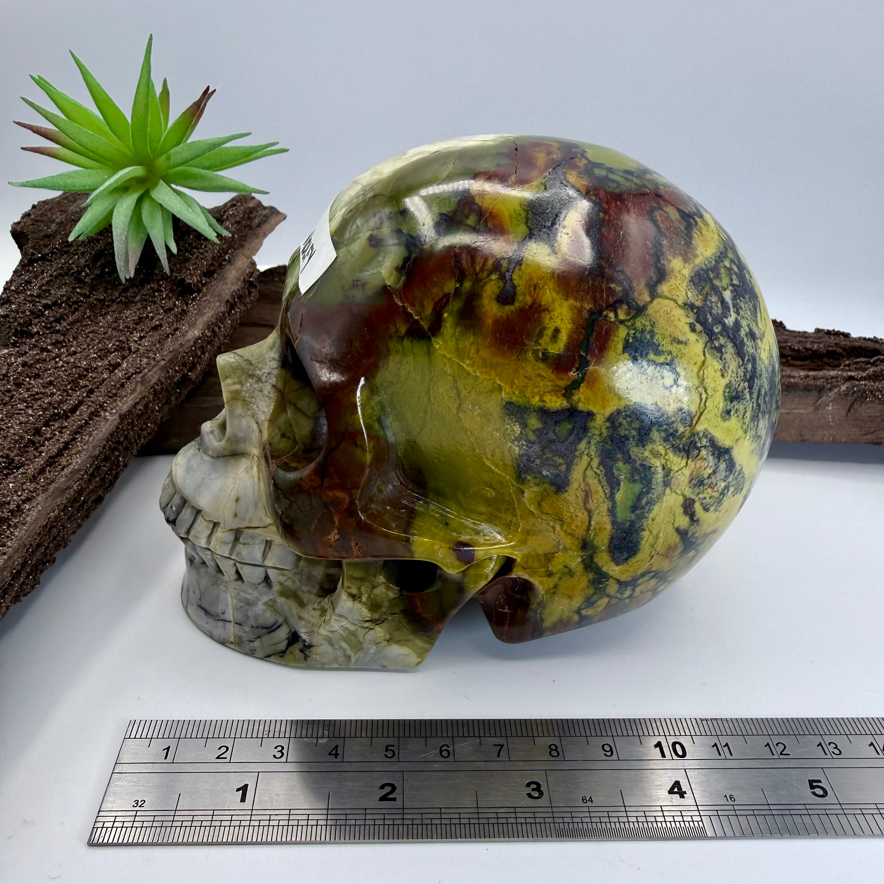 Wolfy Hiso Jasper 5inch Skull [JU249]