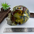 Wolfy Hiso Jasper 5inch Skull [JU249]