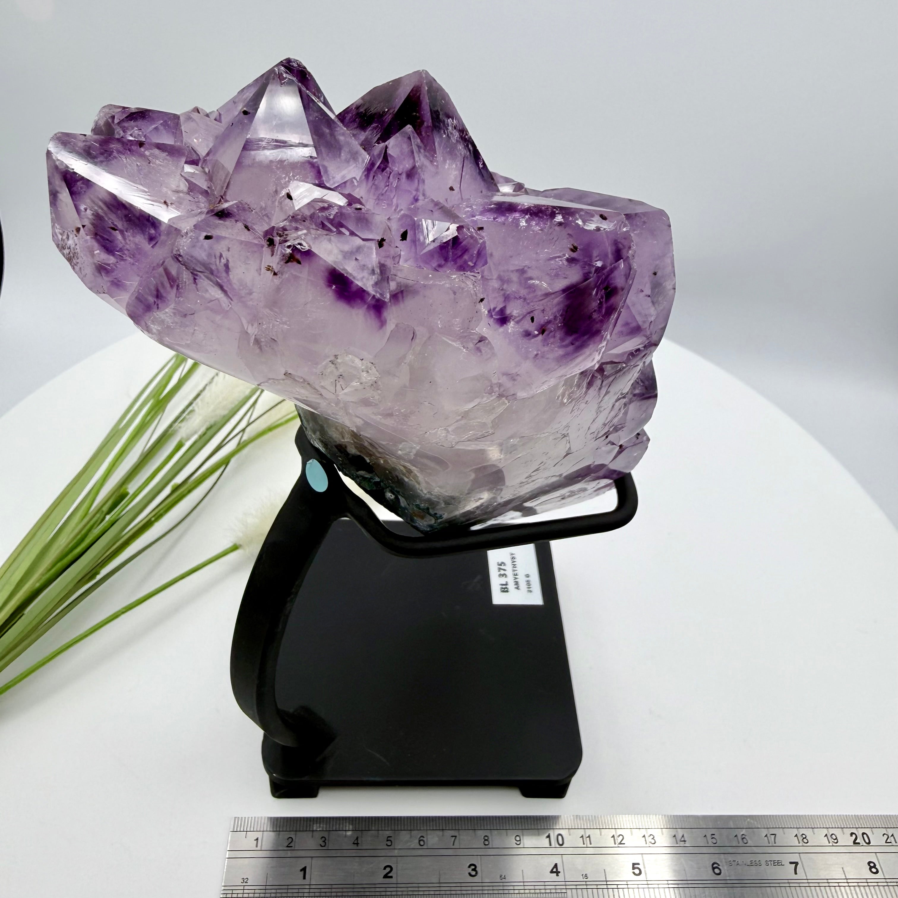 Amethyst Cluster with Gold Goethite Fan Rutile