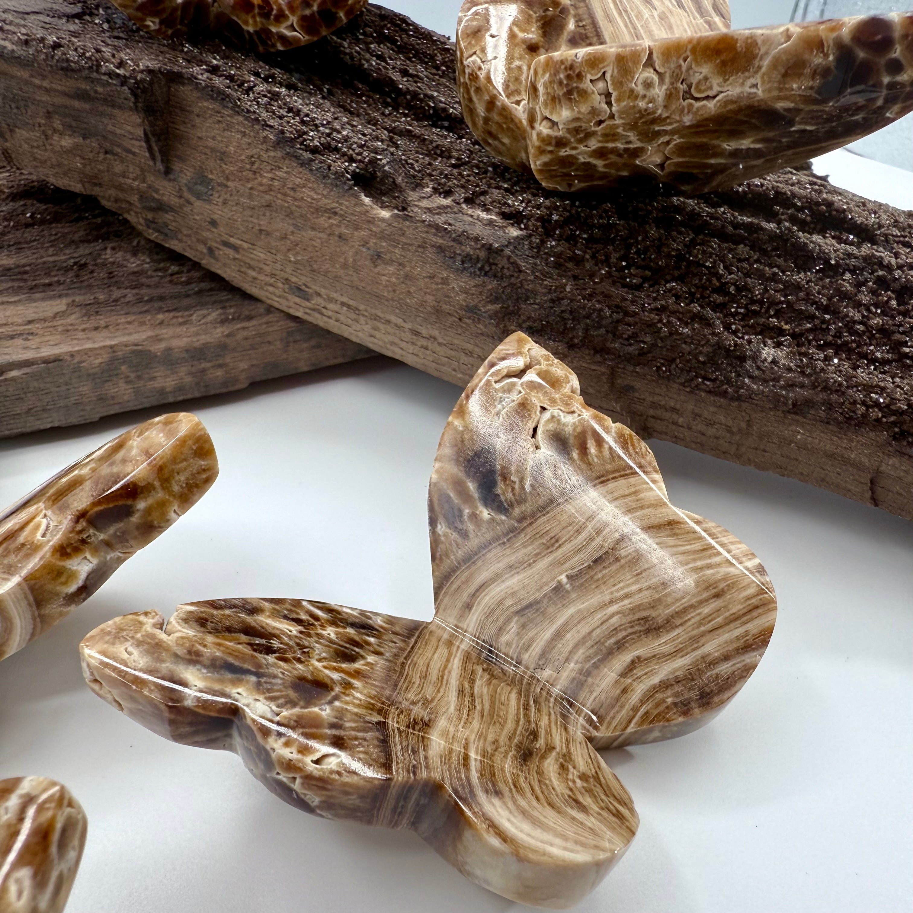 Chocolate Calcite Butterfly