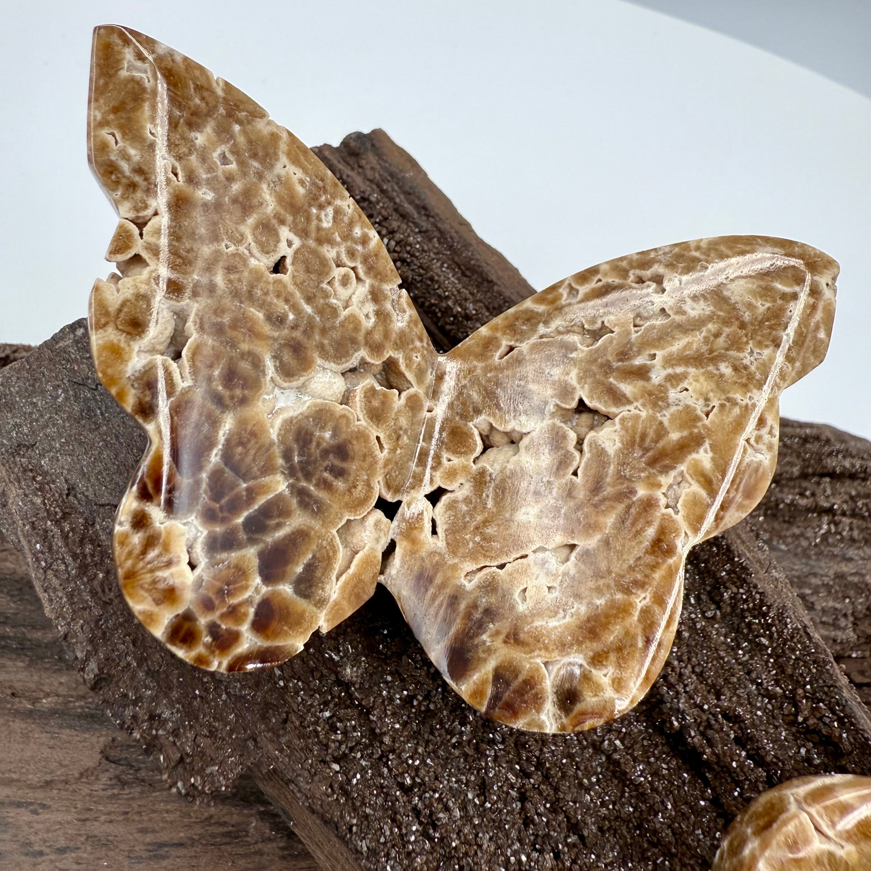 Chocolate Calcite Butterfly