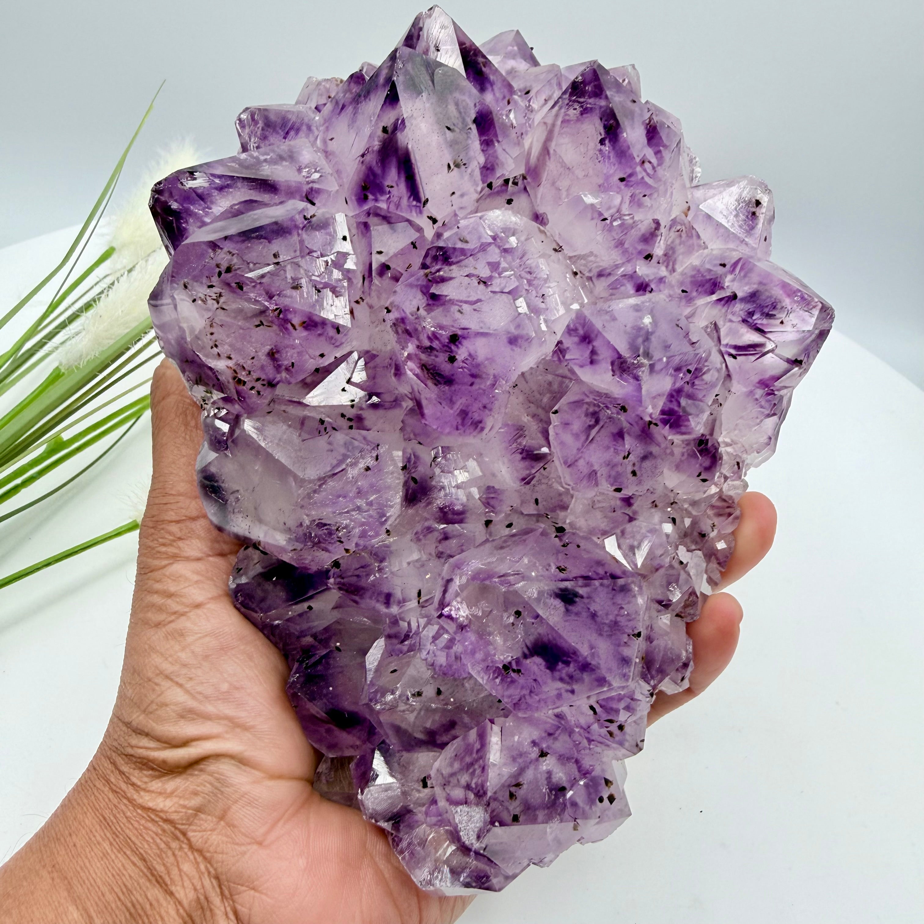 Amethyst Cluster with Gold Goethite Fan Rutile