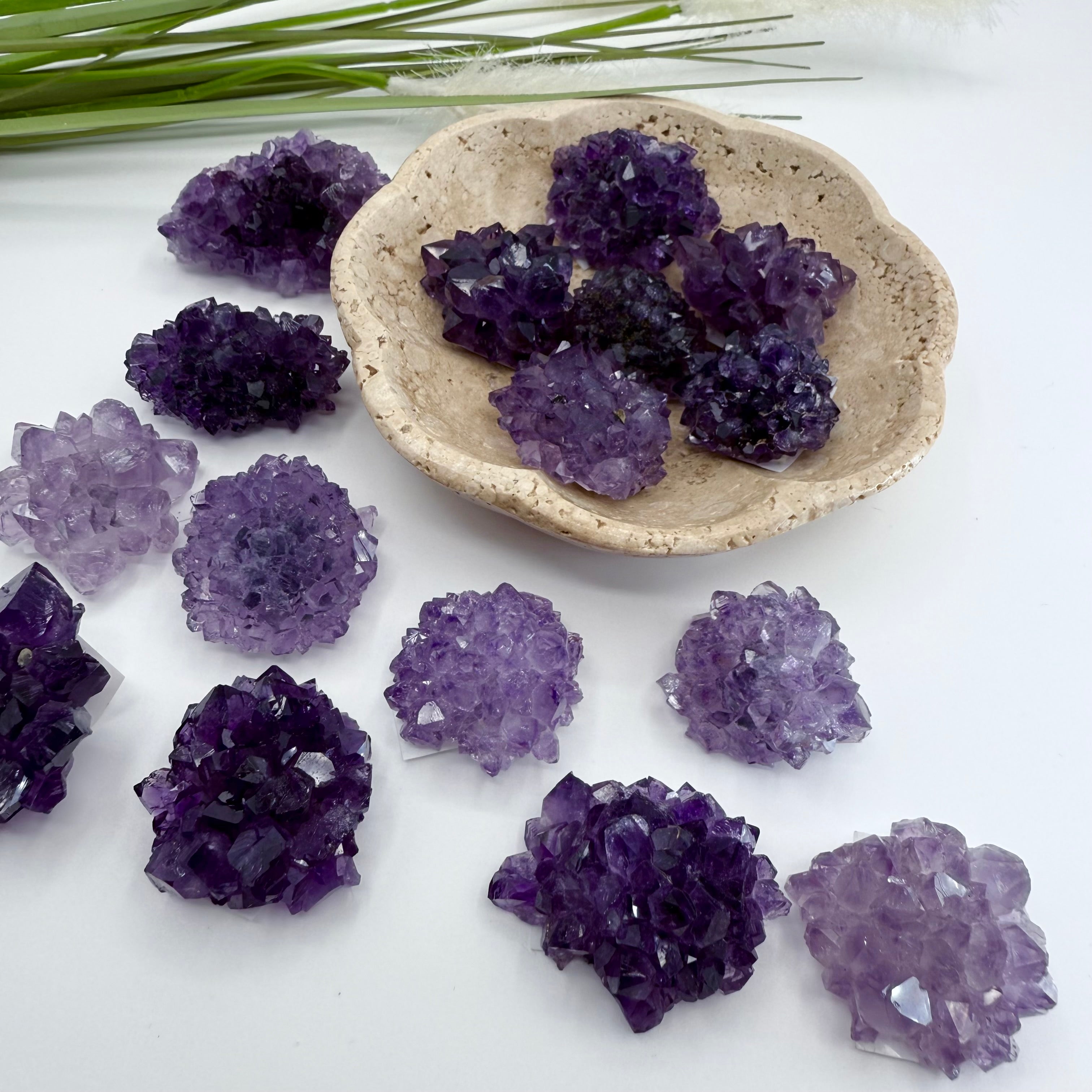 Uruguayan Amethyst Flower