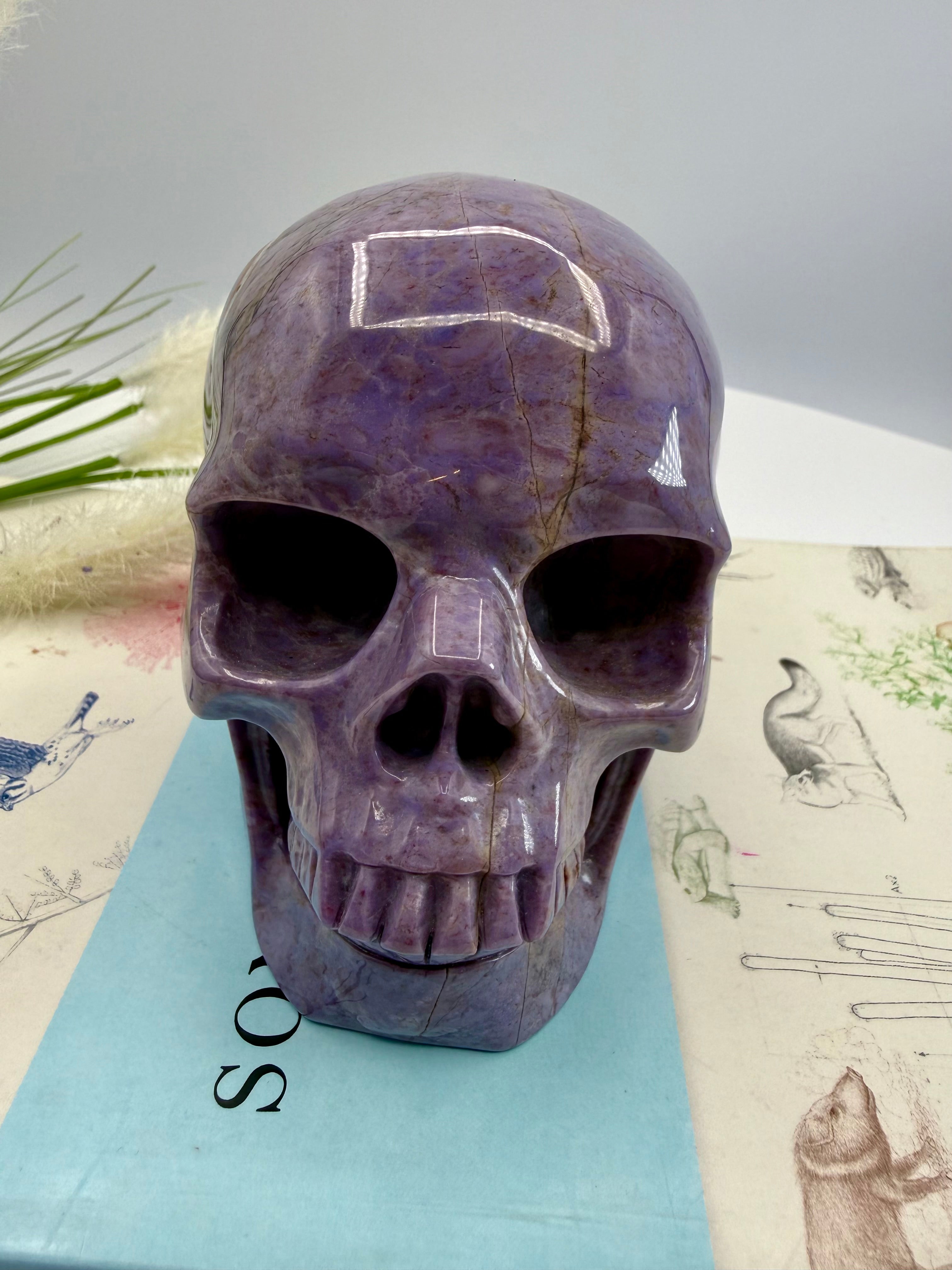 Turkiyenite Skull 5inch (Very Rare Turkish Lavender Jade) [SP636]