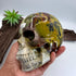 Wolfy Hiso Jasper 5inch Skull [JU249]