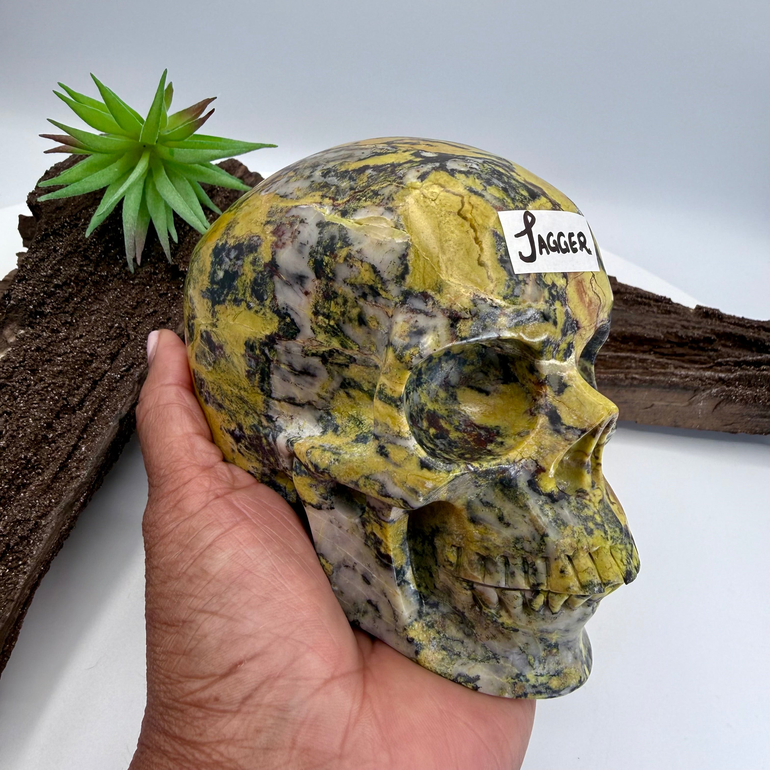 Jagger Hiso Jasper 5 inch Skull