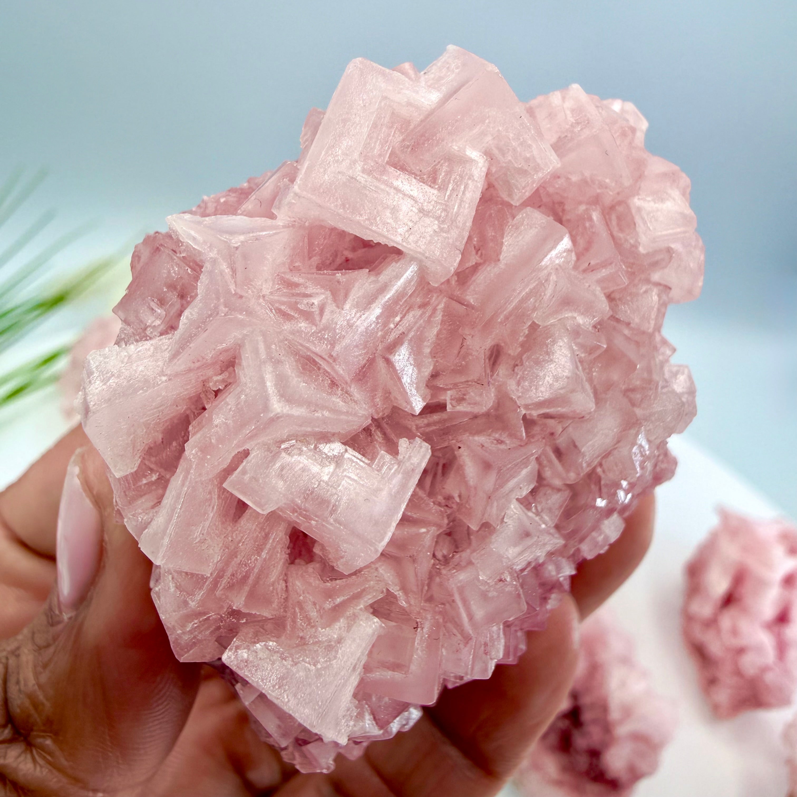 Pink Halite