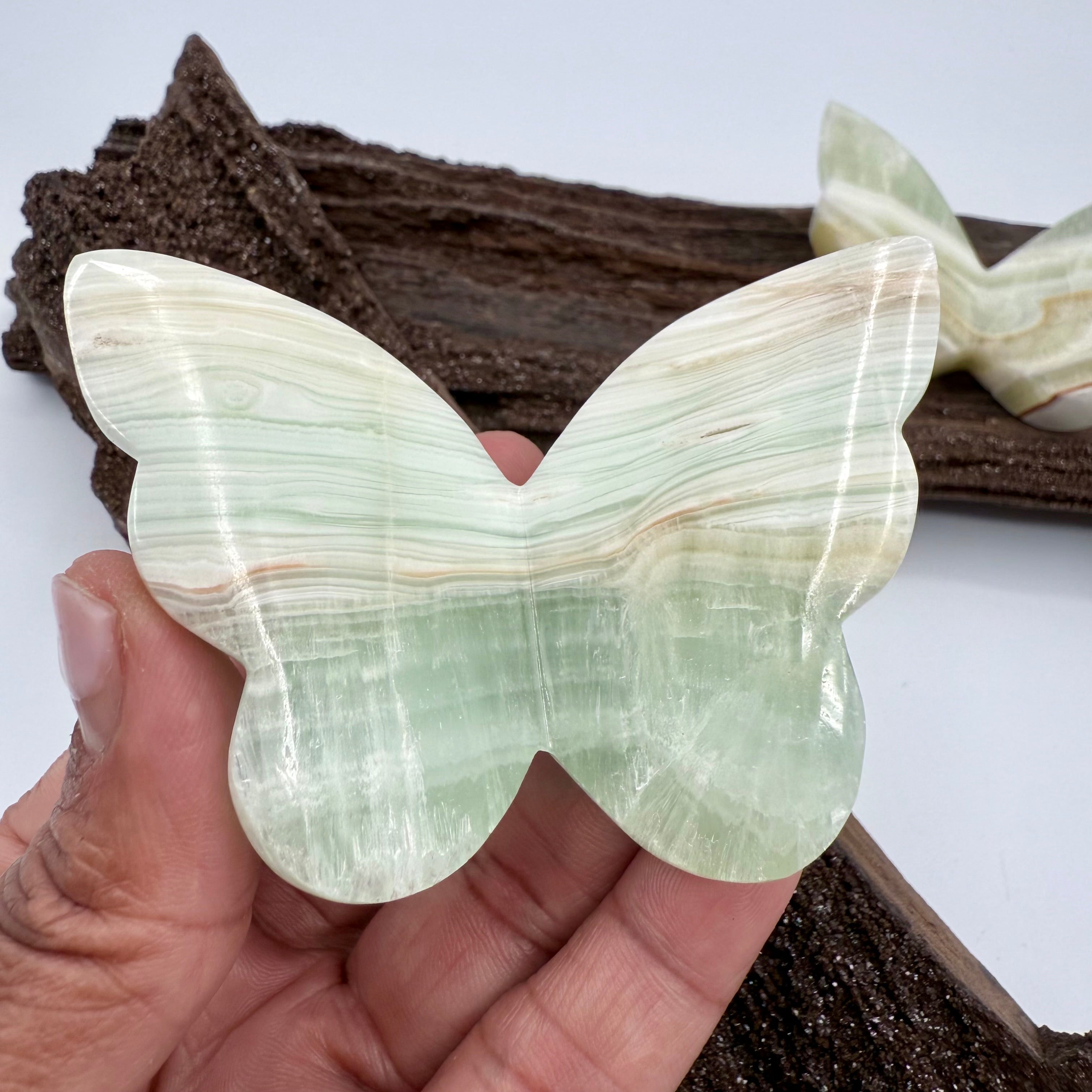 Carribean Calcite Butterfly