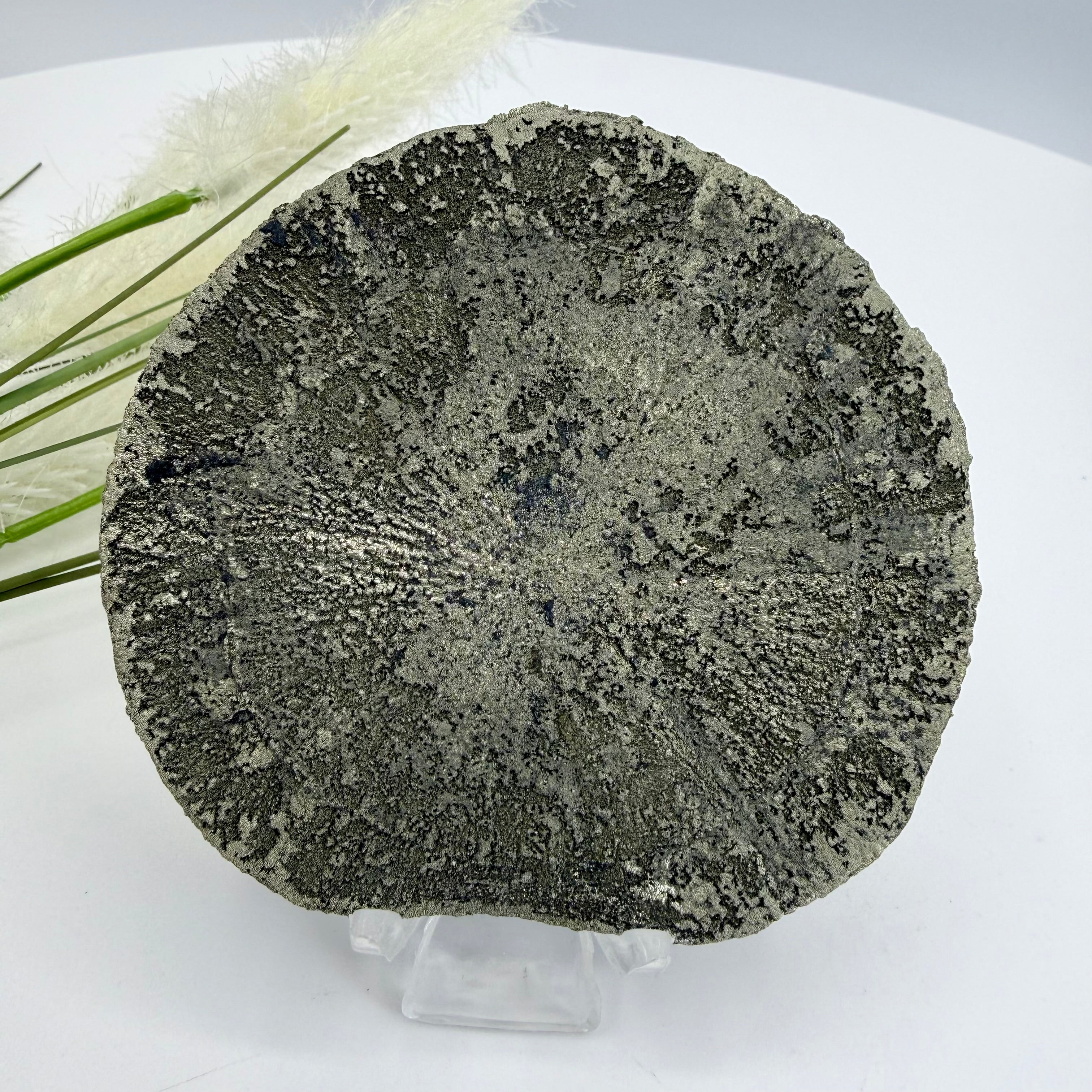 Illinois Pyrite Sun 8.5cm Diameter