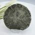 Illinois Pyrite Sun 8.5cm Diameter