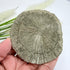 Pyrite Sun 8.5cm
