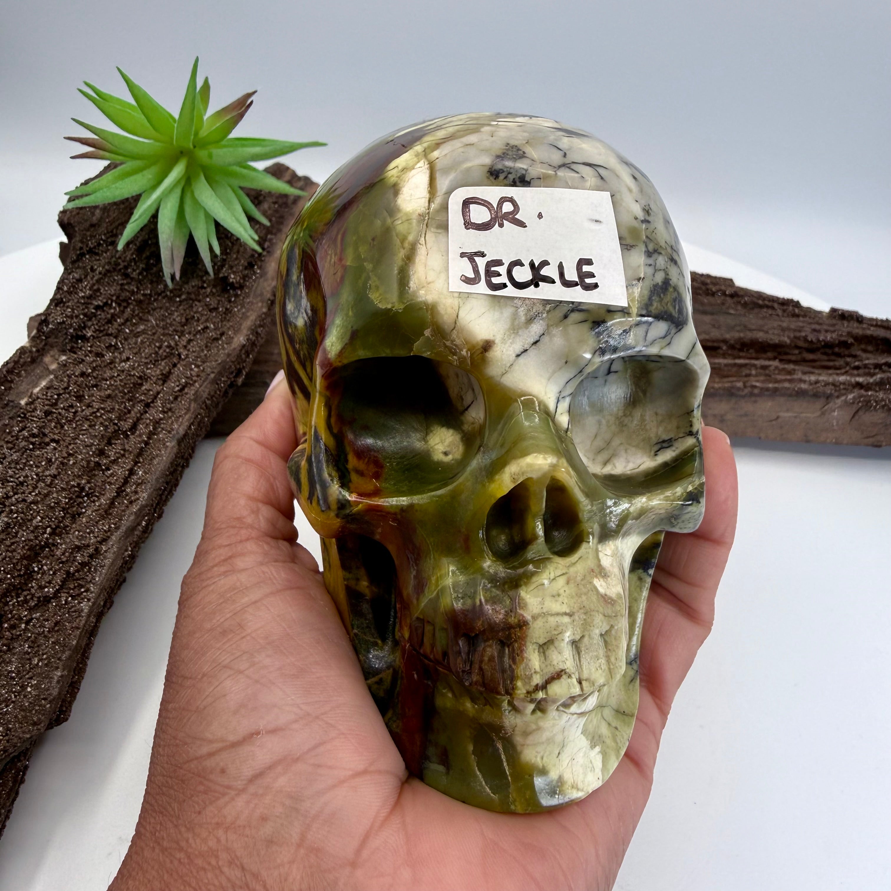 Wolfy Hiso Jasper 5inch Skull [JU249]