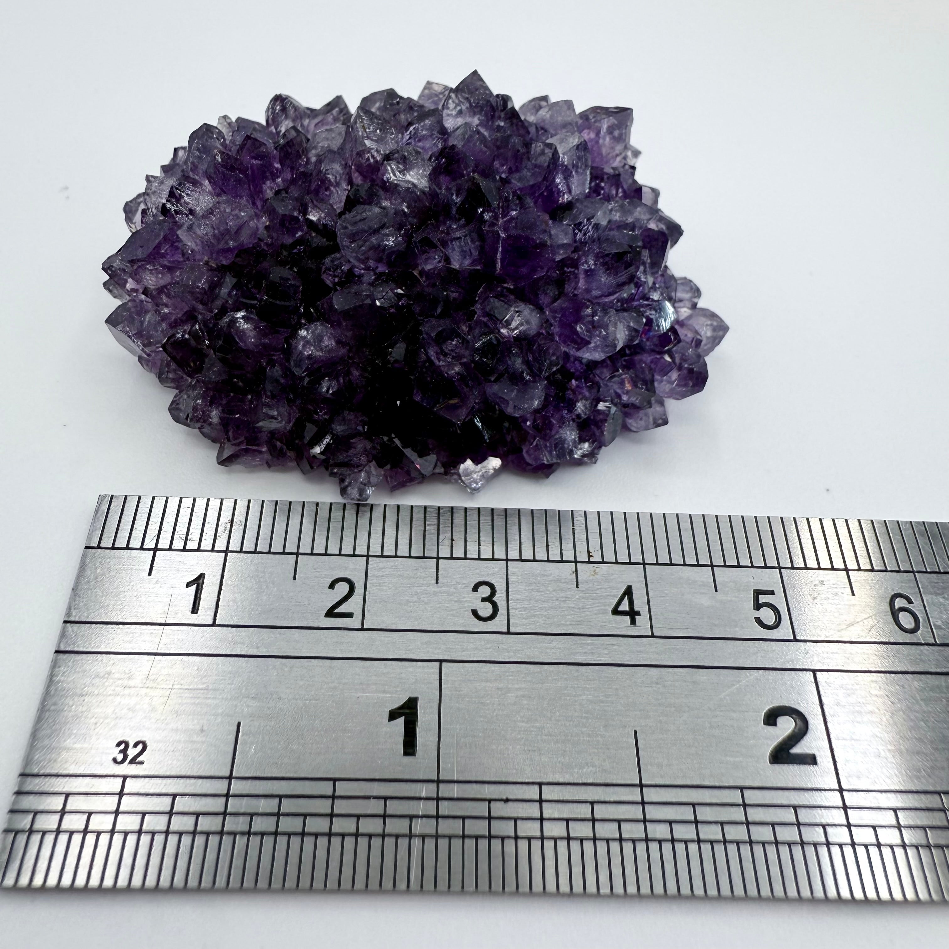Uruguayan Amethyst Flower