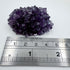 Uruguayan Amethyst Flower