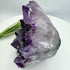 Amethyst Cluster with Gold Fan Goethite Inclusions