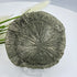 Pyrite Sun 8.5cm