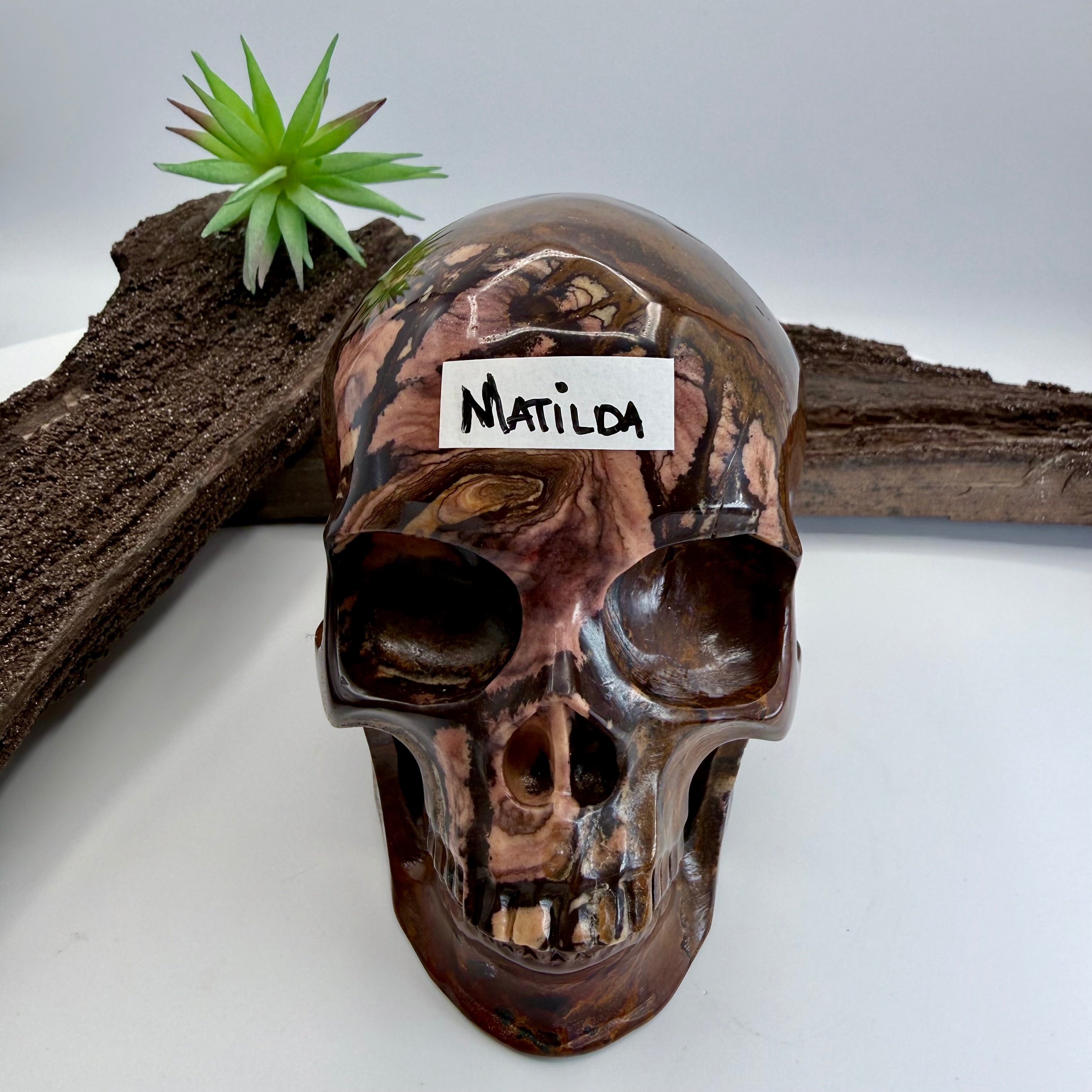 Matilda Australian Outback Jasper 5inch Skull [KJ189]