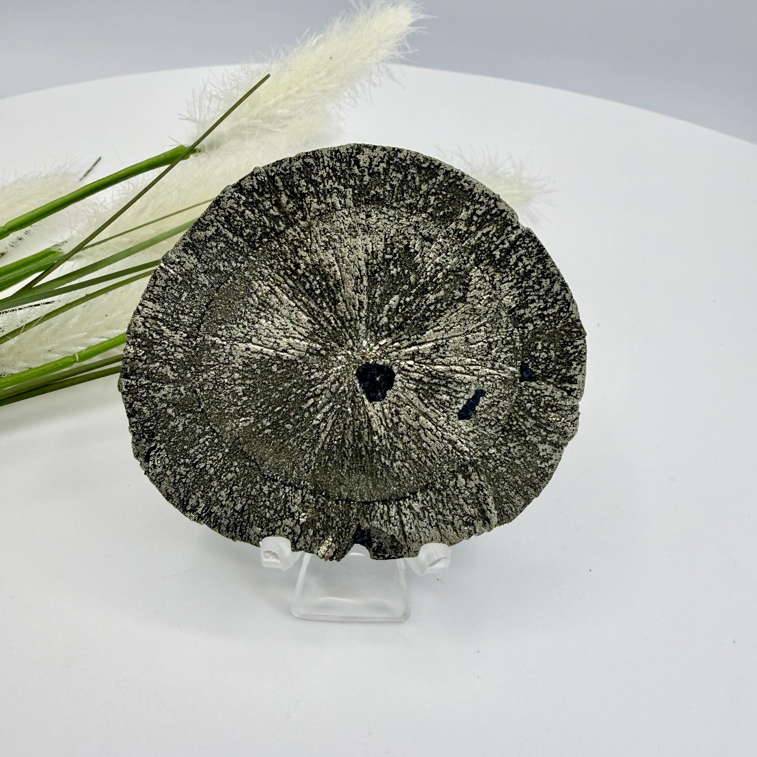 Pyrite Sun 7.5cm Diameter