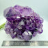 Amethyst Cluster with Gold Fan Goethite Inclusions