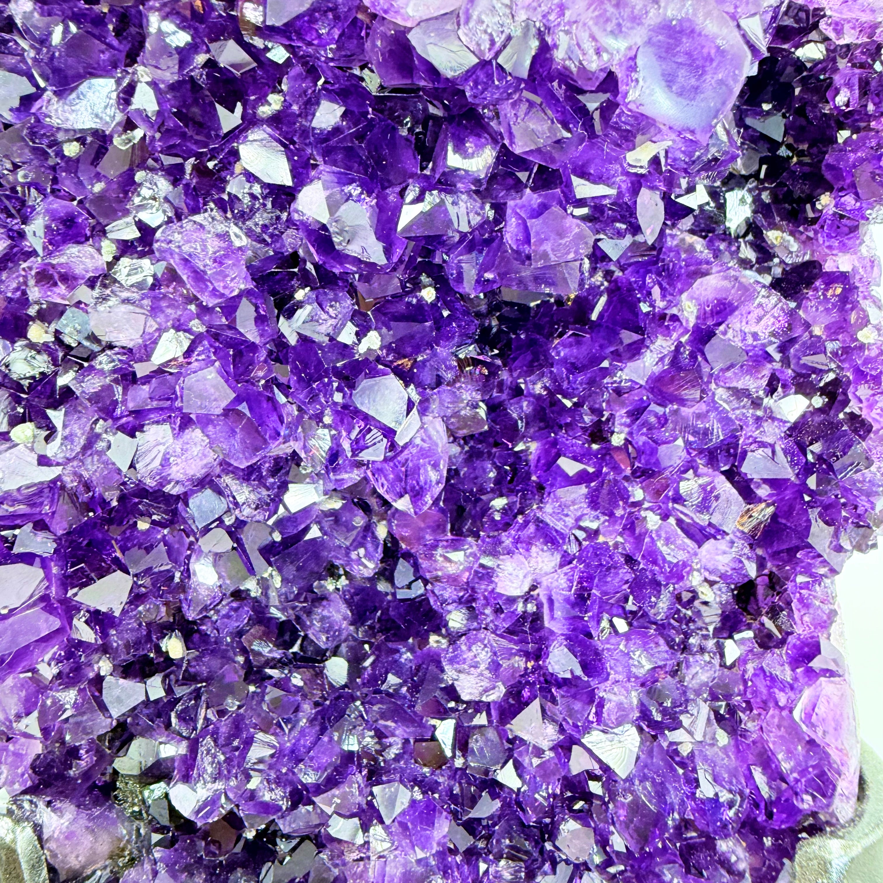 Uruguayan Amethyst Angel Wings [KN850]