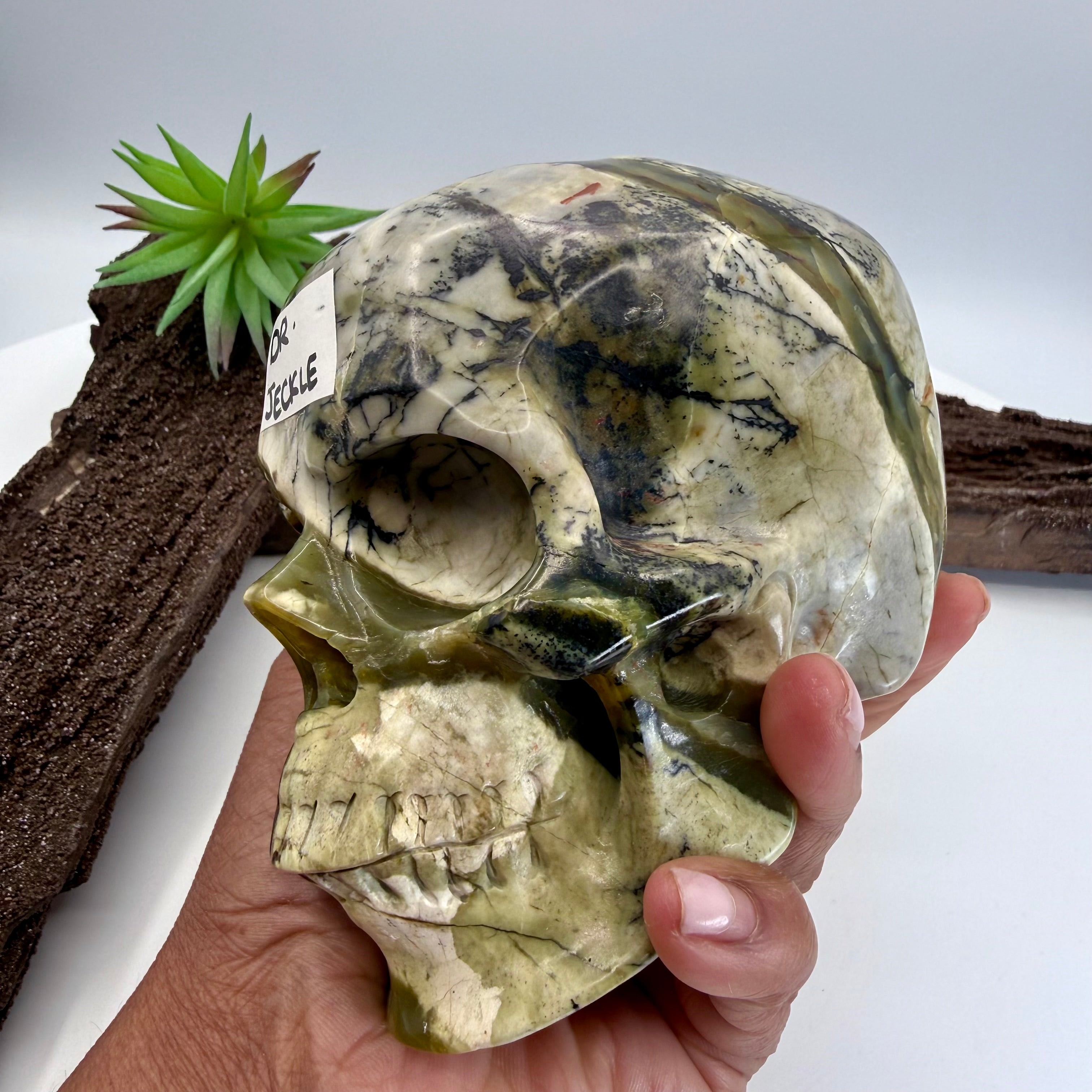 Dr Jeckle Hiso Jasper 5inch Skull [KB244]