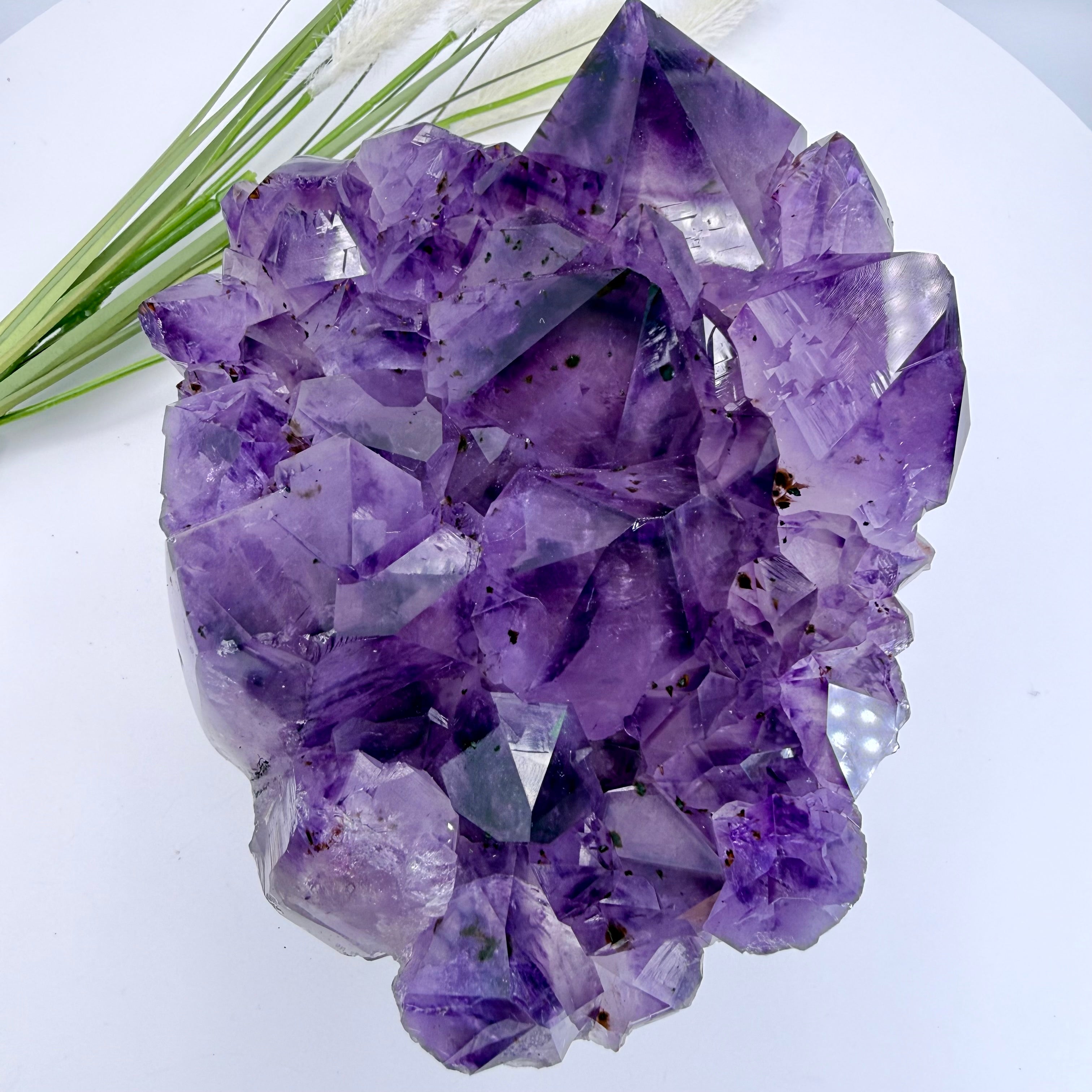 Amethyst Cluster with Gold Fan Goethite Inclusions