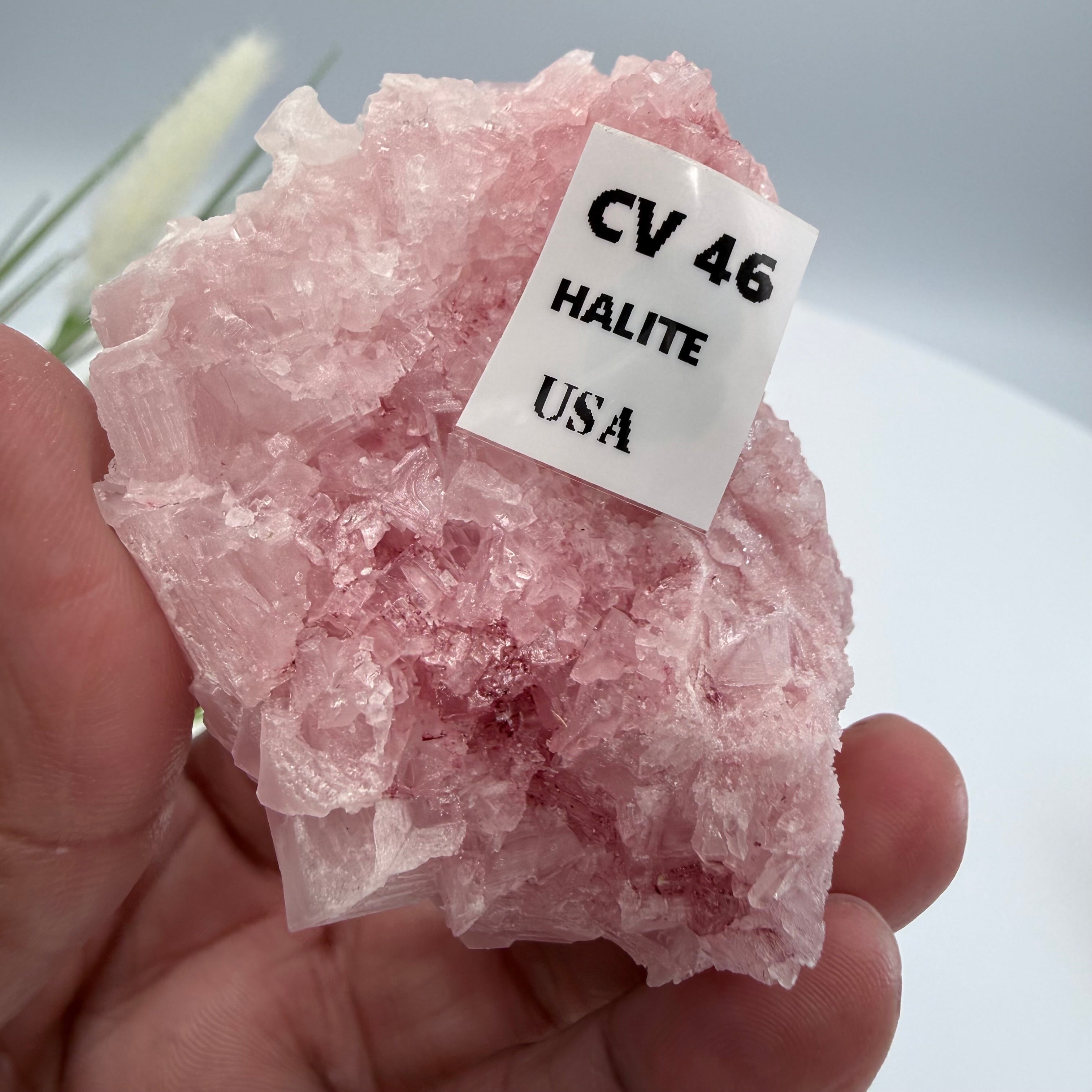 Pink Halite
