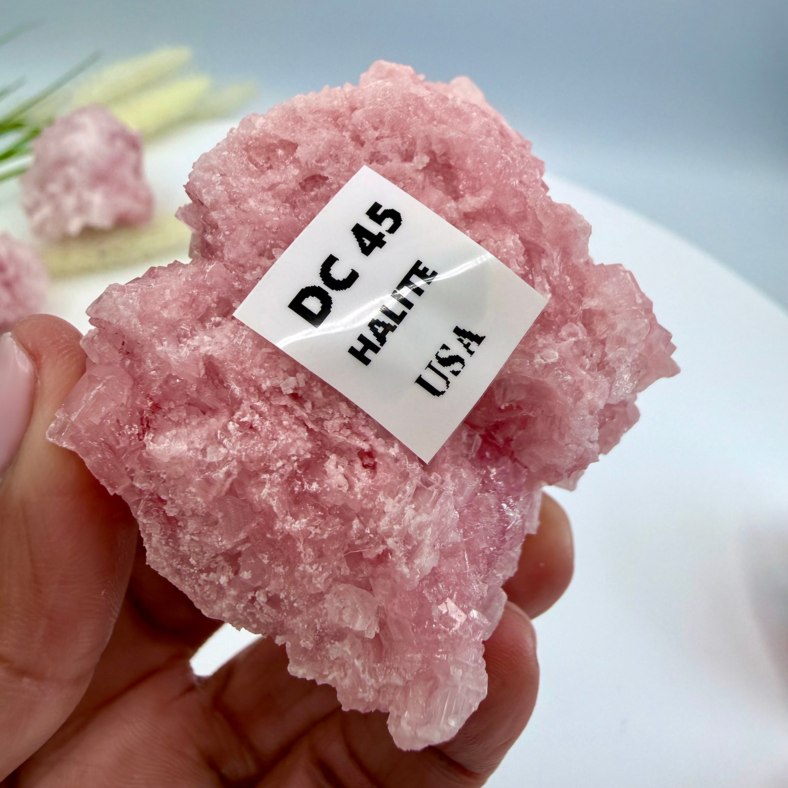 Pink Halite