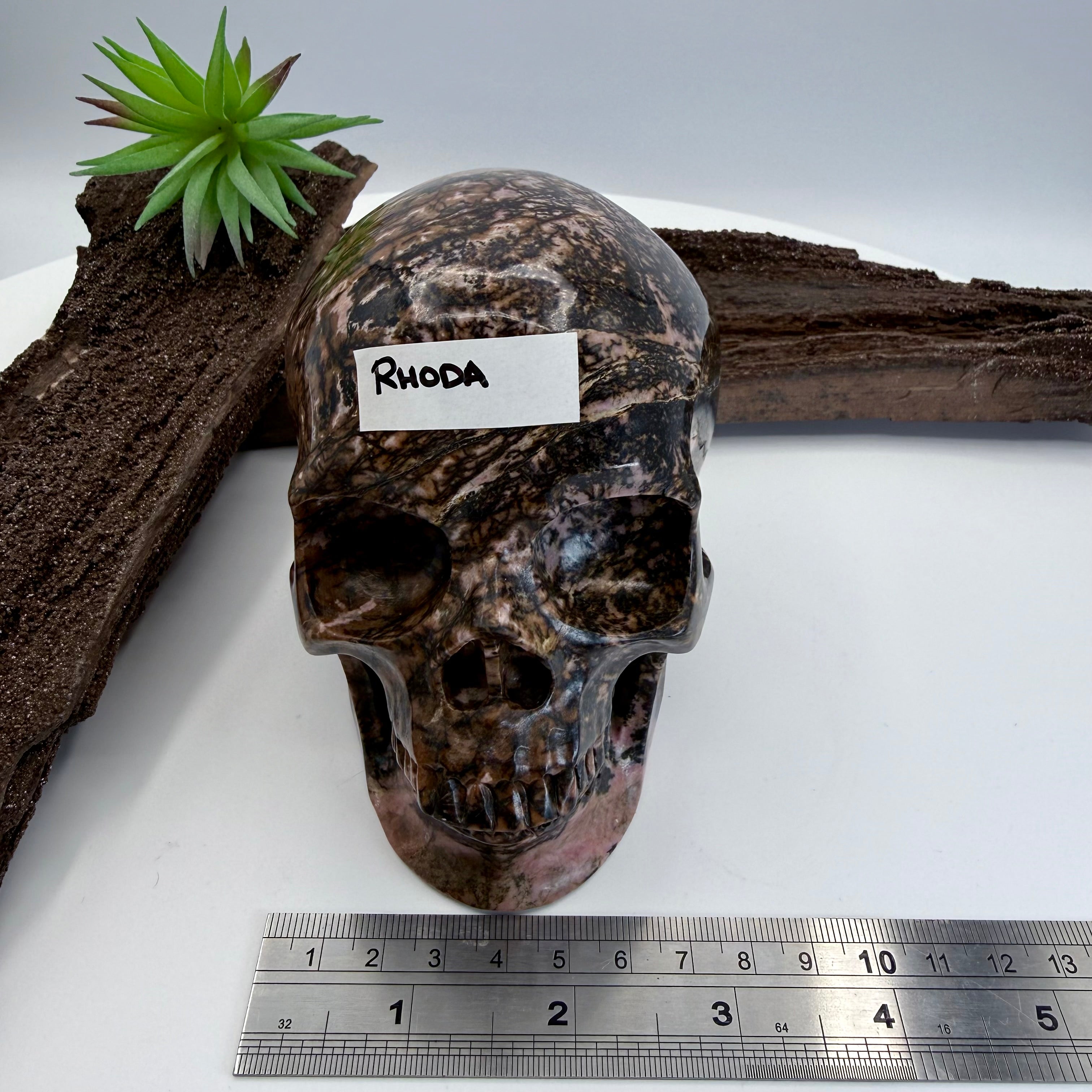 Rhoda Rhodonite 5inch Skull [JY169]