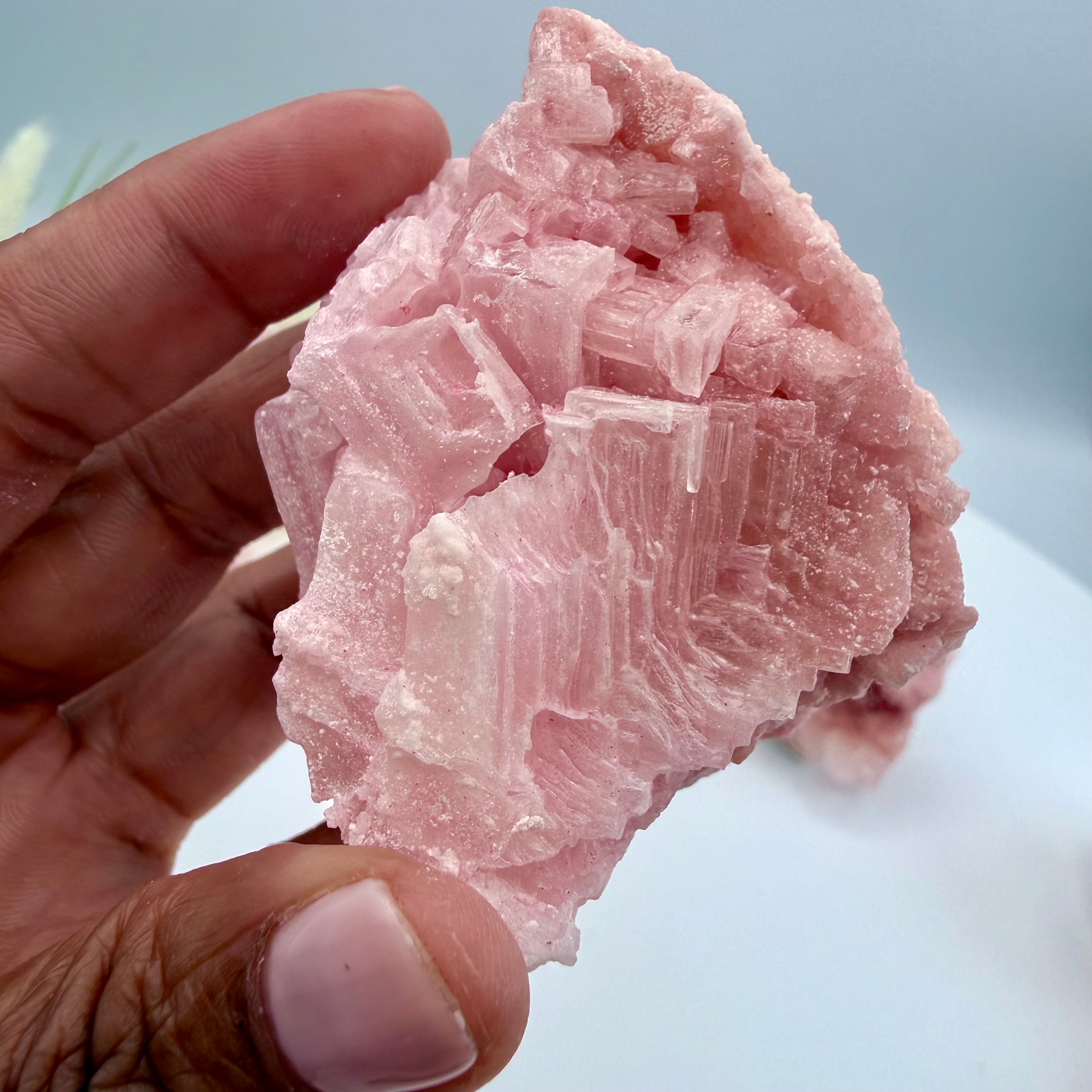 Pink Halite