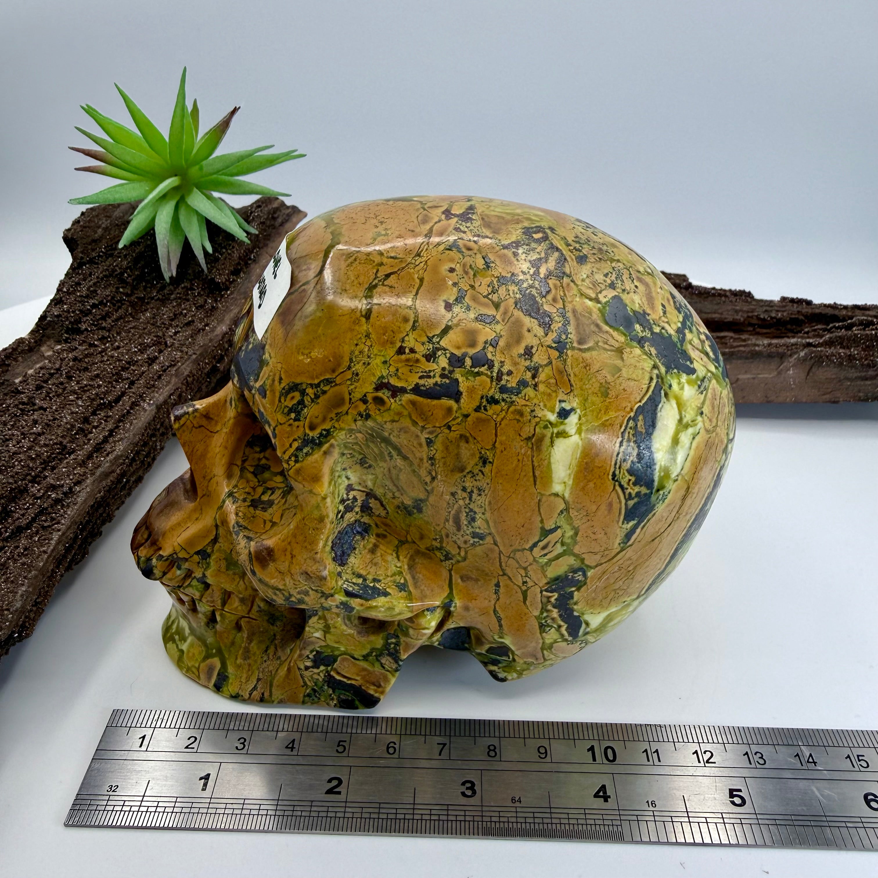 Colonel Mustard Hiso Jasper 5 inch Skull [JU195]
