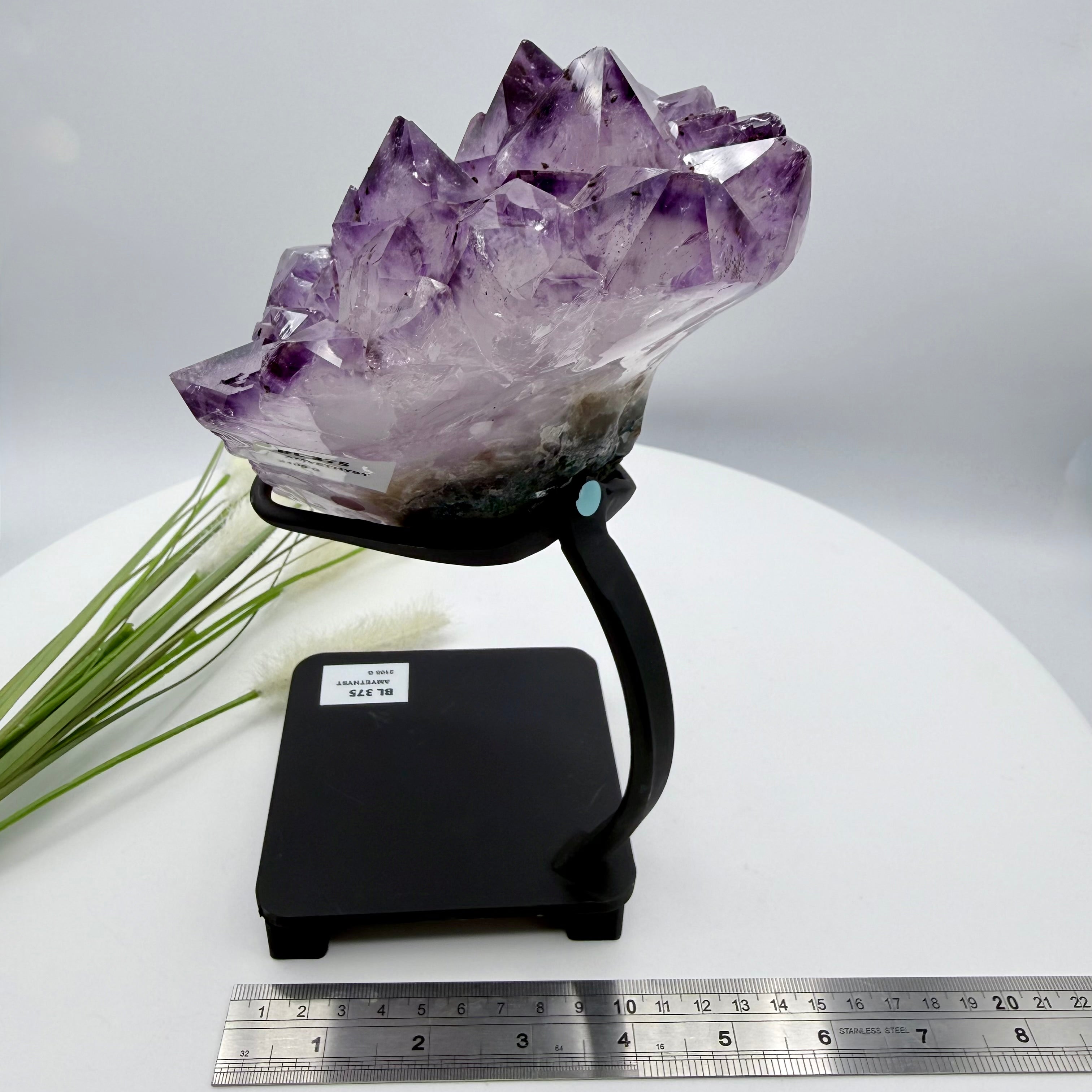 Amethyst Cluster with Gold Goethite Fan Rutile