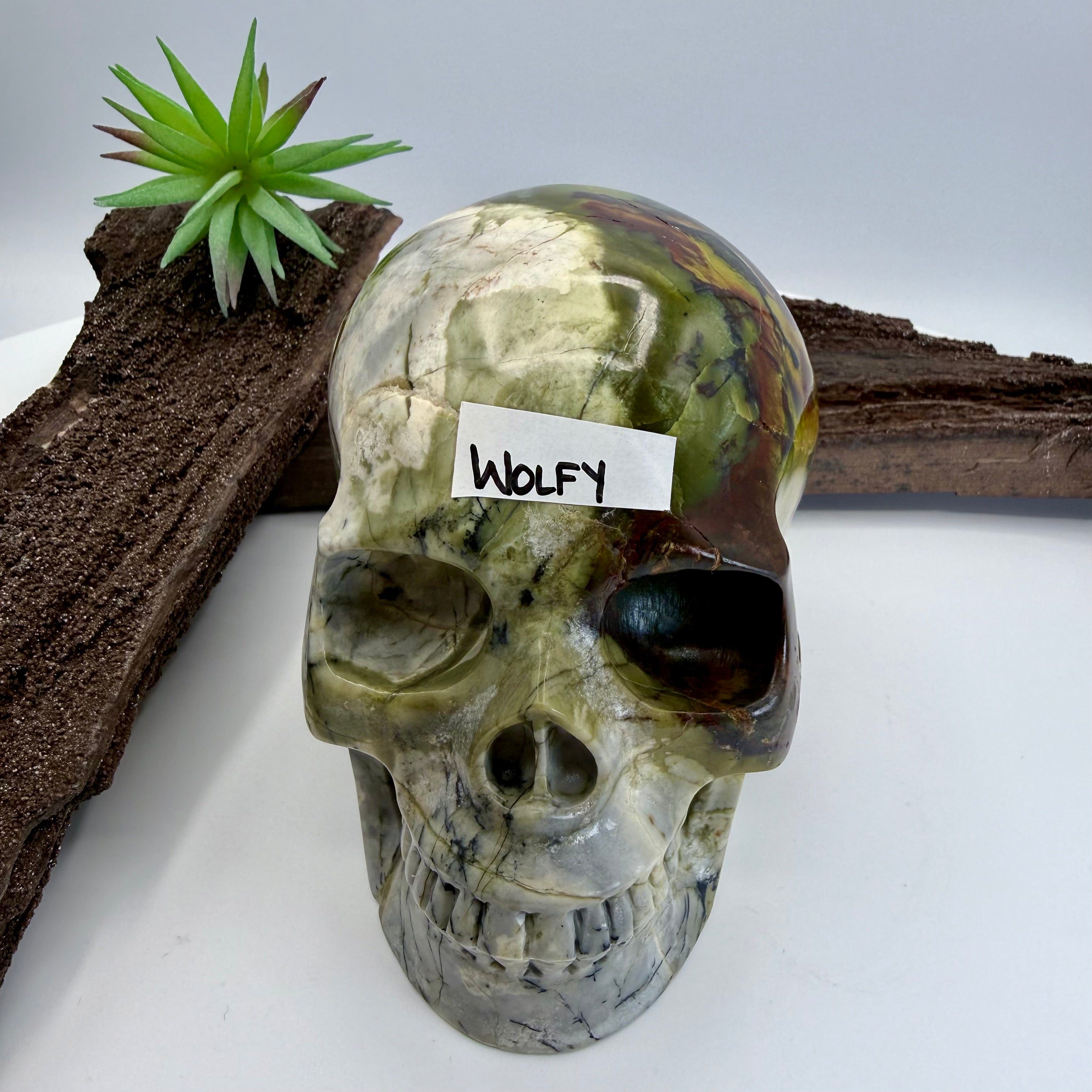 Wolfy Hiso Jasper 5inch Skull [JU249]