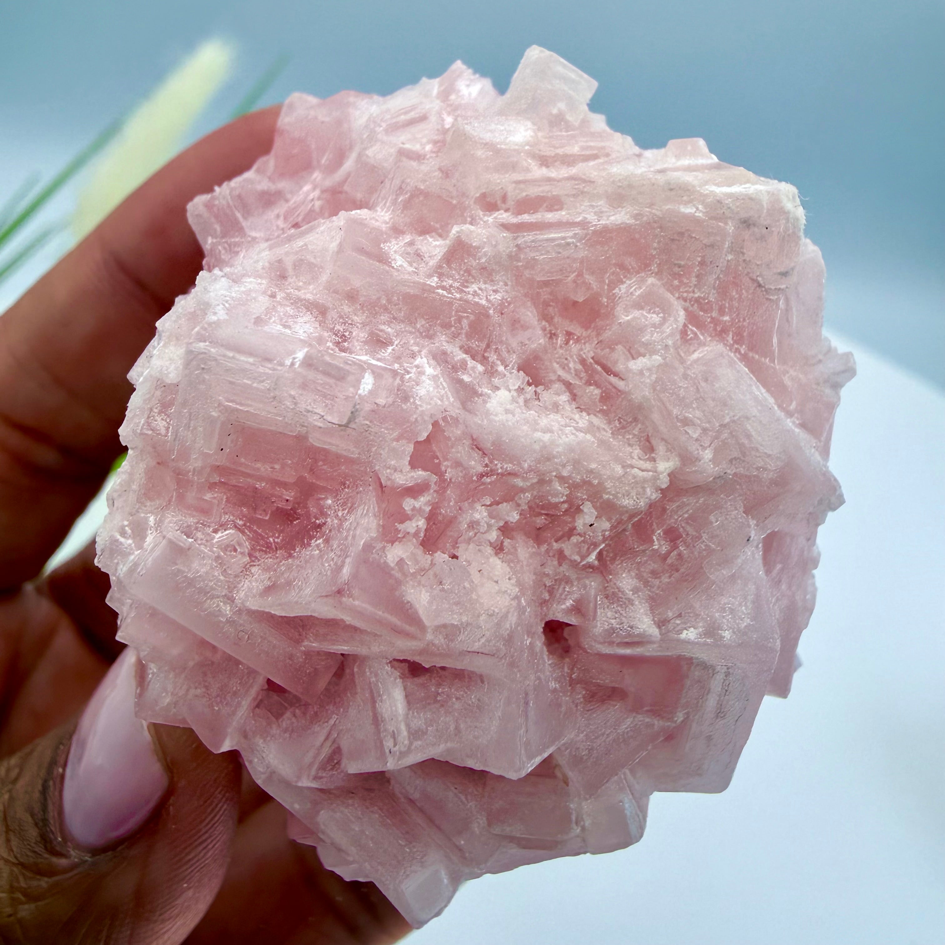 Pink Halite