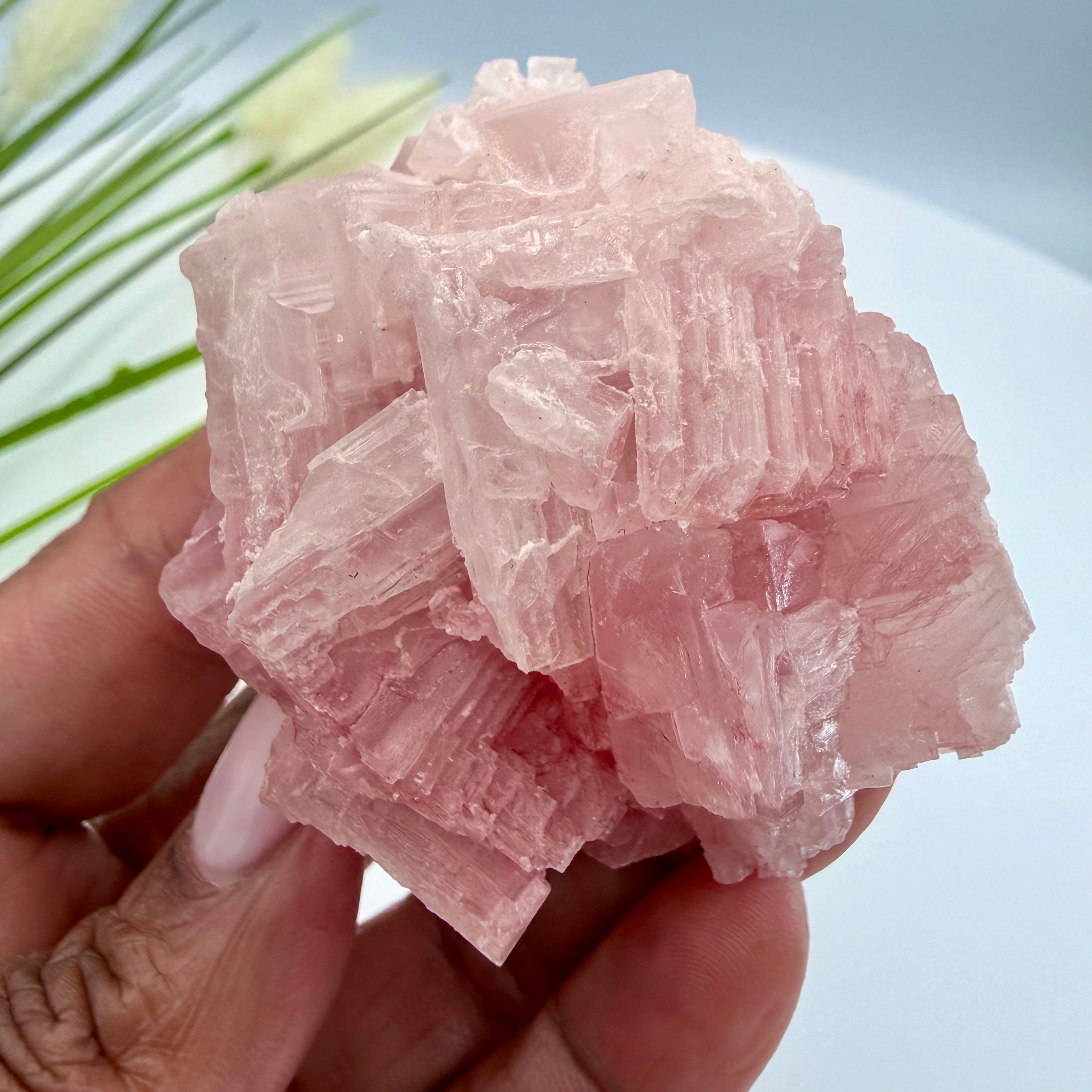 Pink Halite
